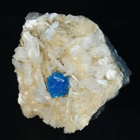 Un ejemplar mineral que presenta formaciones cristalinas blancas con un vibrante racimo de cristales azules en el centro, fotografiado sobre un fondo negro.