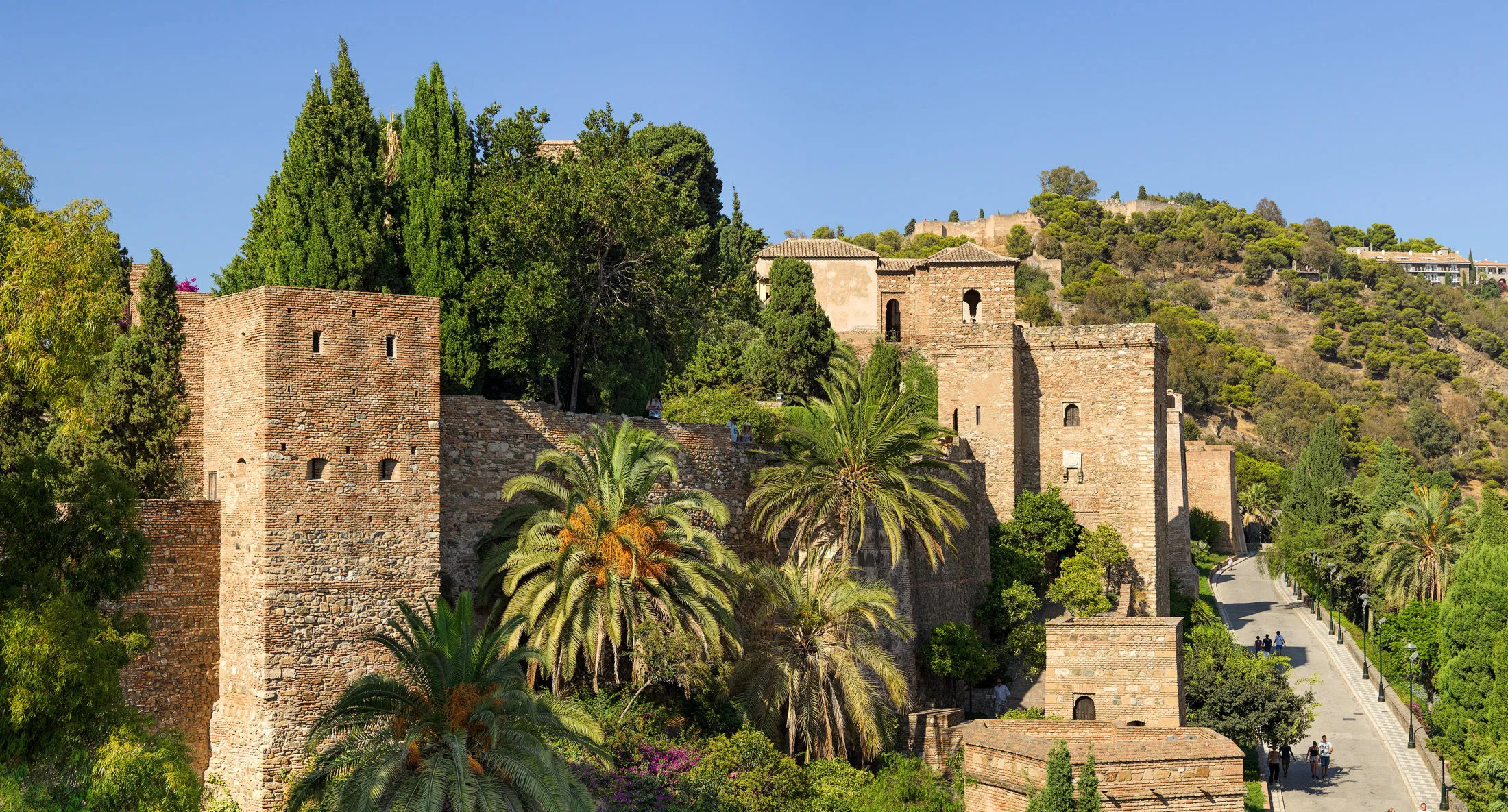 Murallas de piedra y torres de la Alcazaba de Málaga rodeadas de palmeras y vegetación bajo un cielo azul despejado
