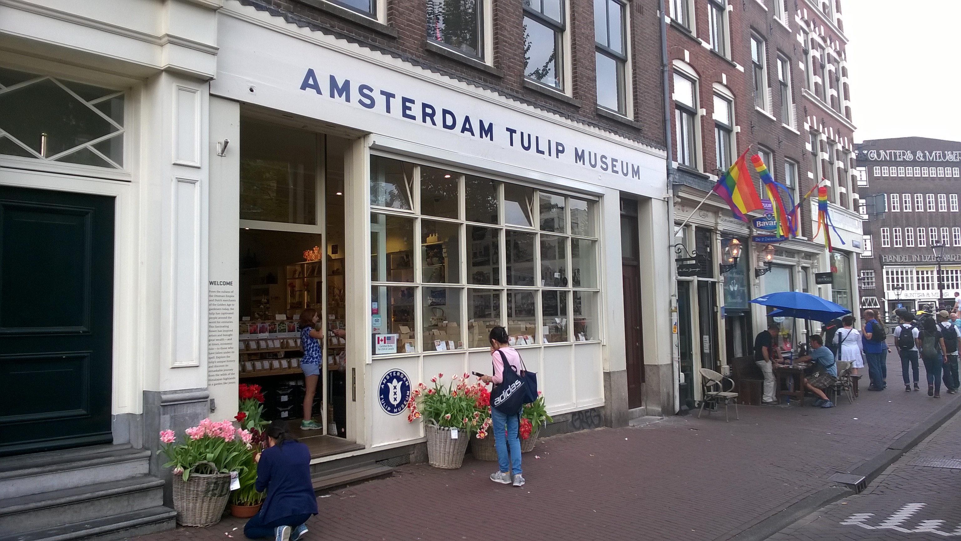 Amsterdam Tulip Museum storefront with white sign and large windows, people walking on the street