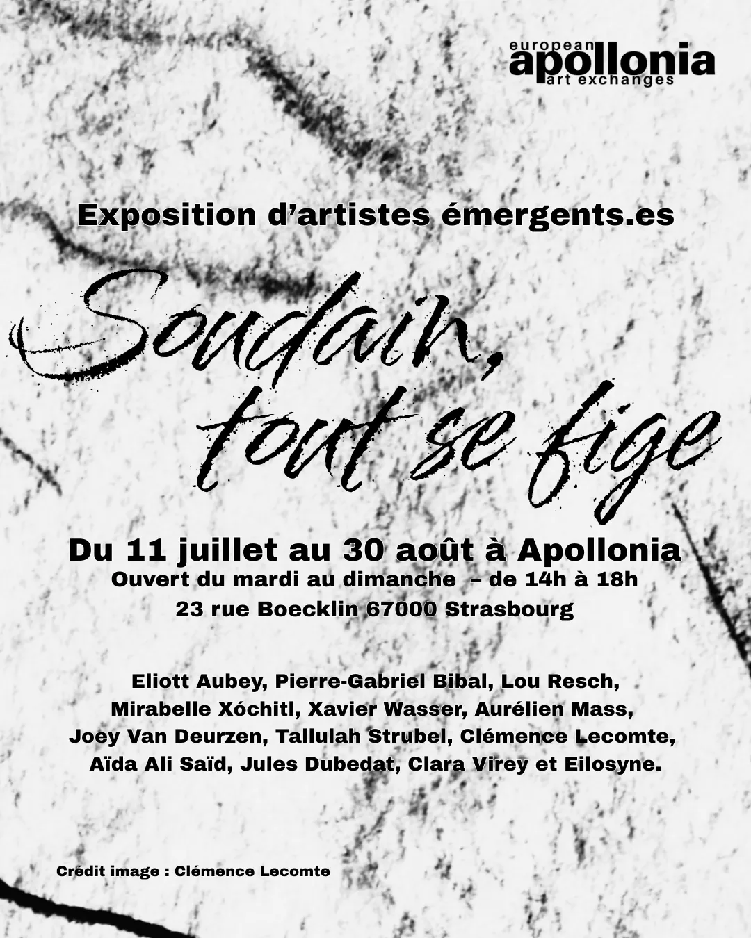 Representative view of Apollonia – European Art Exchanges in Strasbourg.