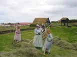 People in historical costumes working with hay outdoors with turf-roofed buildings in the background at an open-air museum