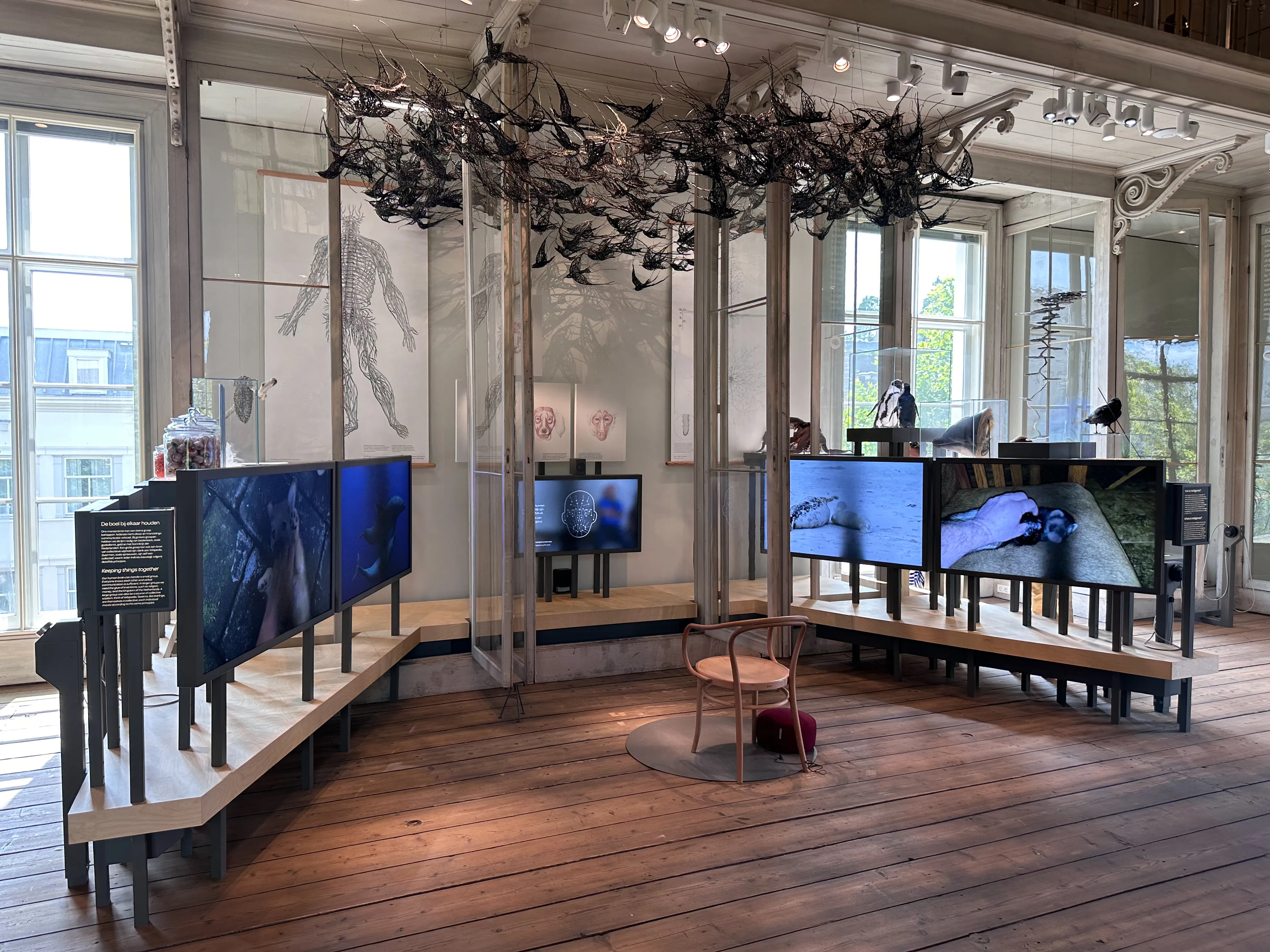 Exhibition space with screens, a wooden chair, and a bird sculpture