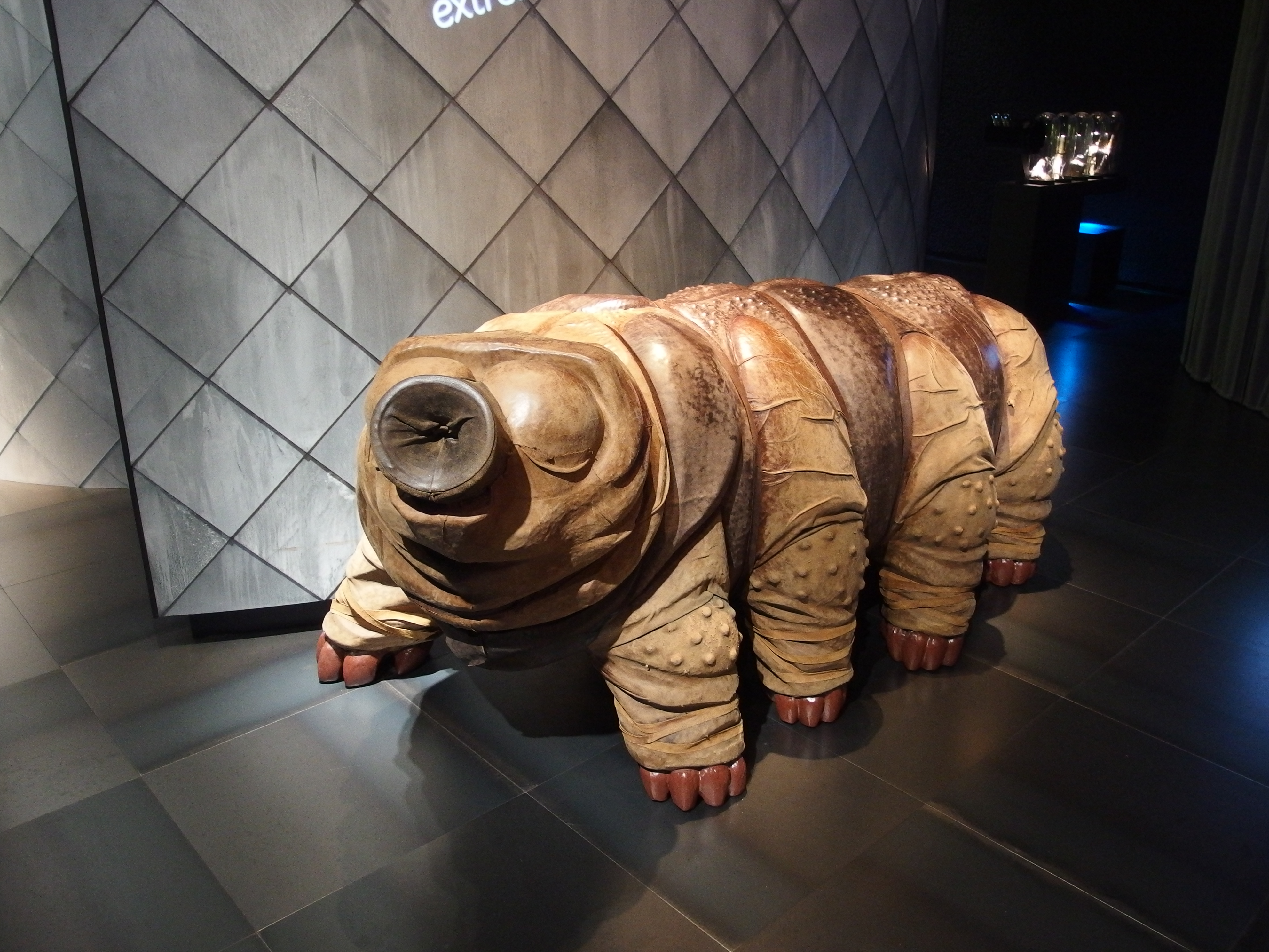 Groot gedetailleerd model van een tardigrade-microorganisme tentoongesteld in een museumexpositie met geometrische wandpanelen en donkere vloer