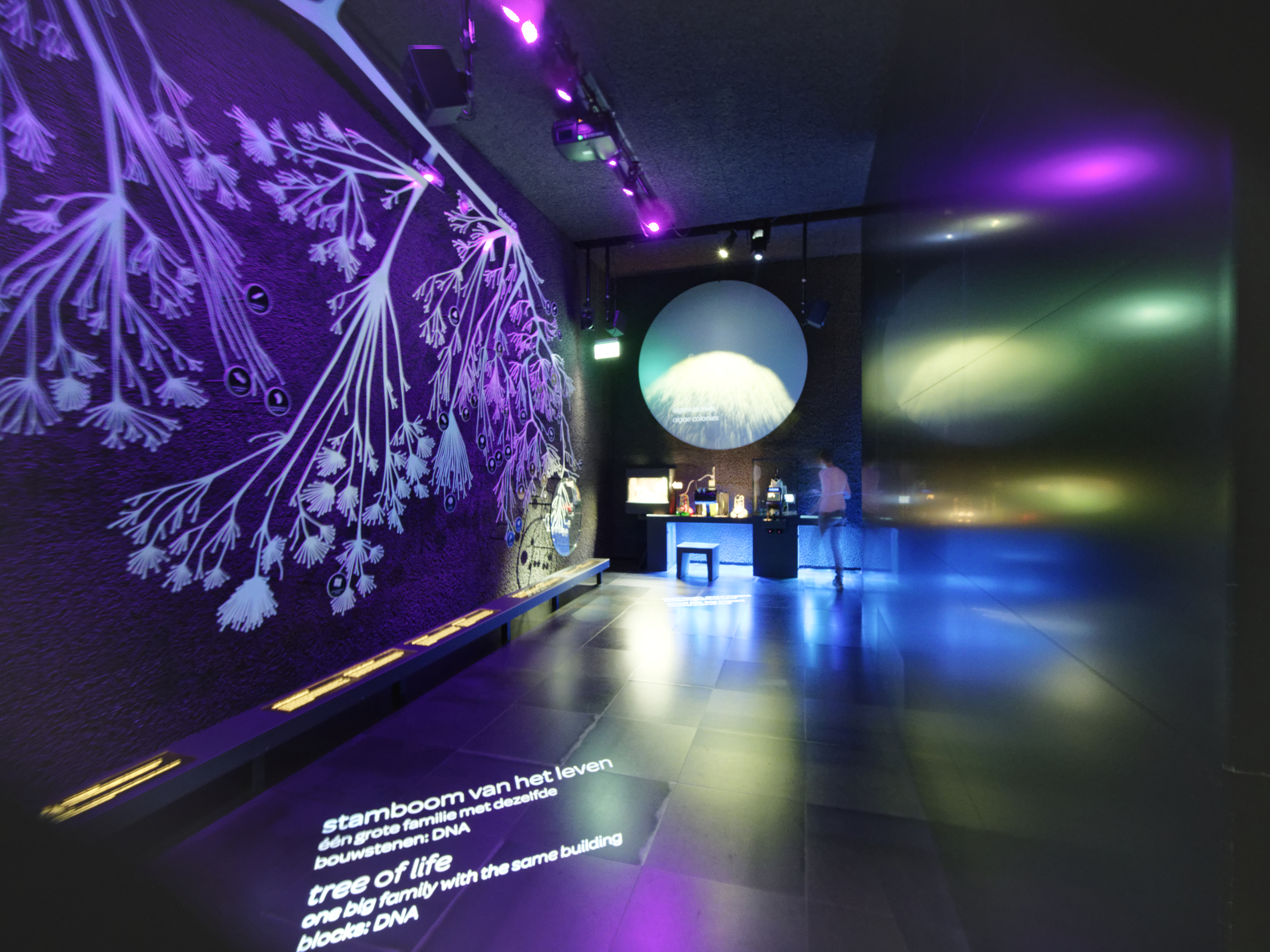 Interieur van het Micropia museum met paarse microbenprojecties op de muur, een ronde display en kleurrijke verlichting in de tentoonstellingsruimte.