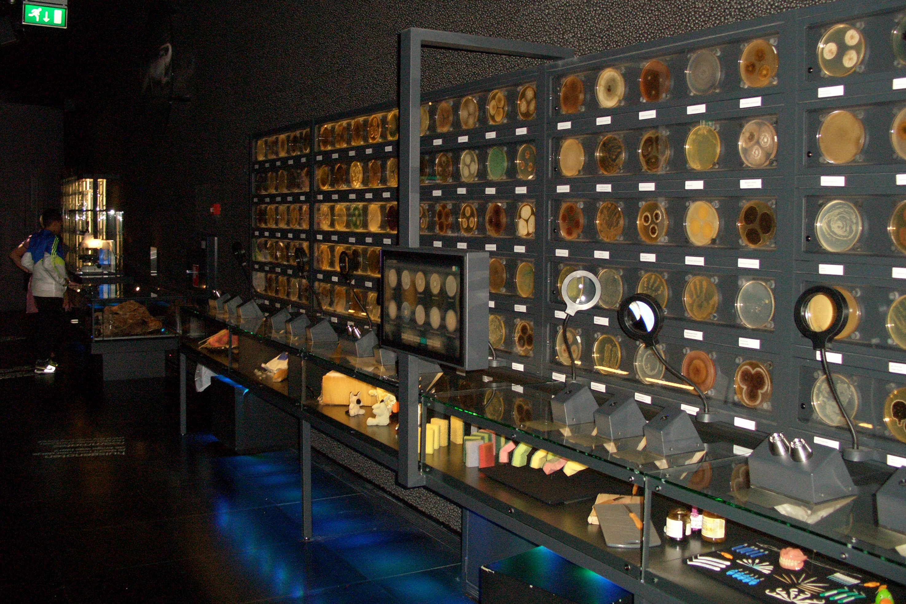 Donkere kamer met verlichte circulaire tentoonstellingen op muren, glazen vitrines met diverse objecten, blauwe vloerverlichting en een bezoeker op de achtergrond