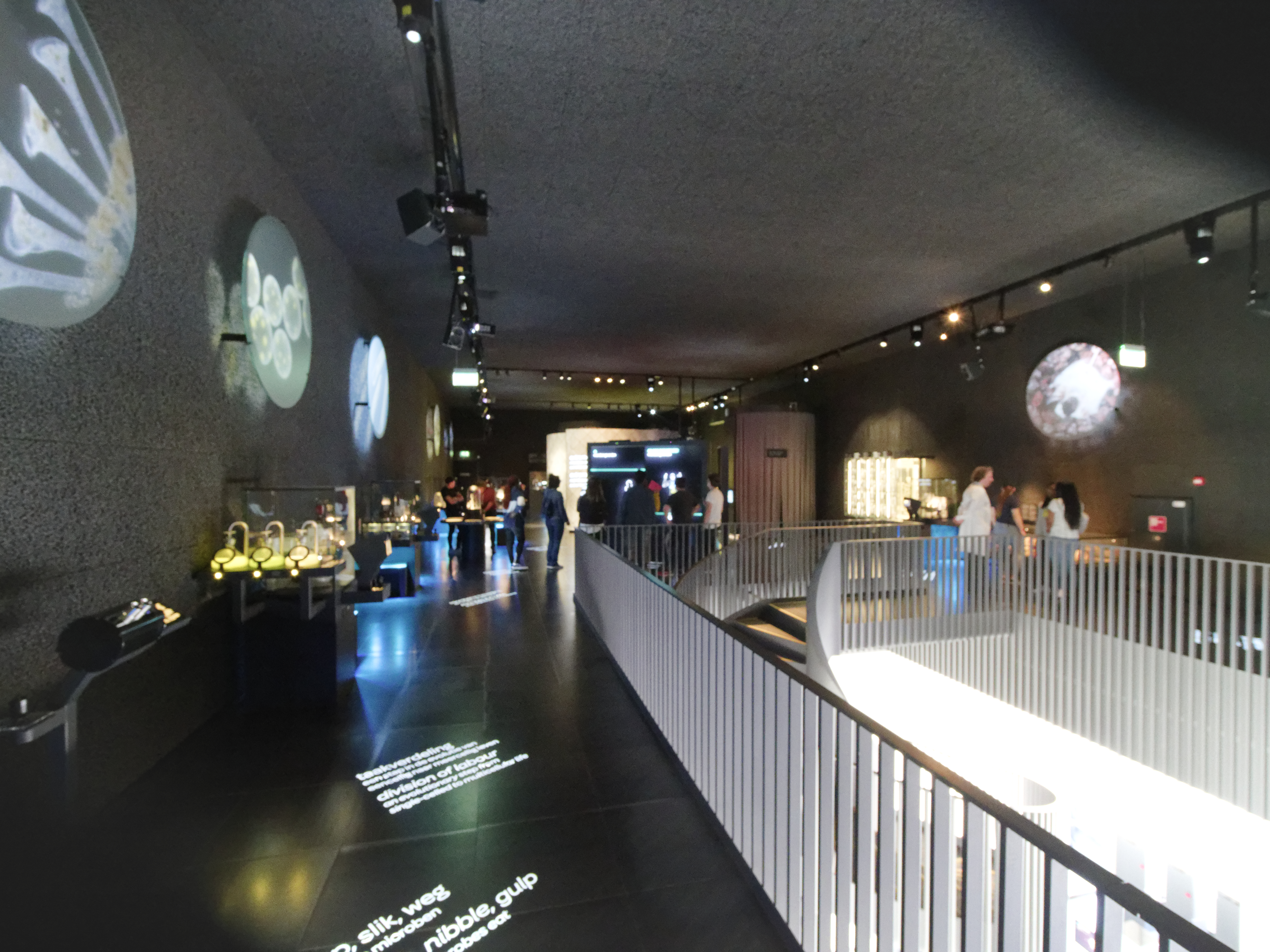 Donker museuminterieur met microbiële projecties op muren, tentoongestelde objecten en bezoekers die door de ruimte lopen. Zwarte vloer met witte tekst.