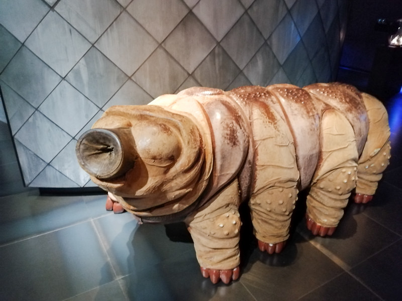 Groot gedetailleerd model van een beerdiertje tentoongesteld in een museum met een achtergrond van een patroonmuur