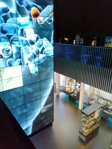 Museum interior with large digital display showing blue-tinted microscopic organisms and illuminated exhibit cases on the floor