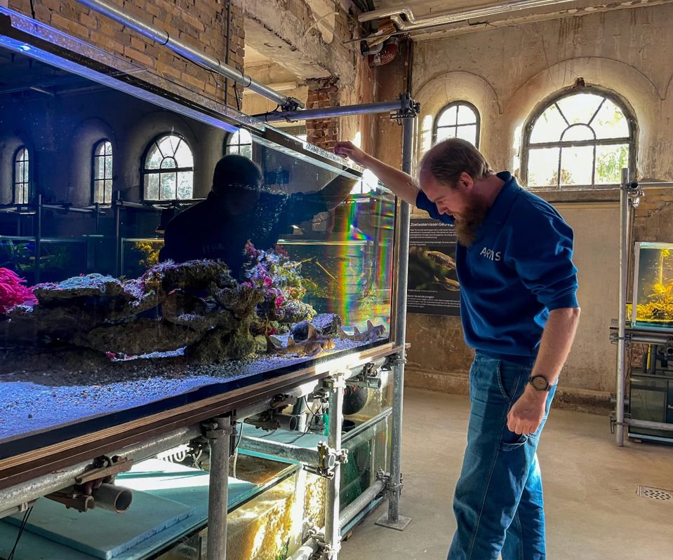 Un miembro del personal ajustando el equipo en una gran exhibición de acuario dentro de un edificio con ventanas arqueadas y arquitectura histórica