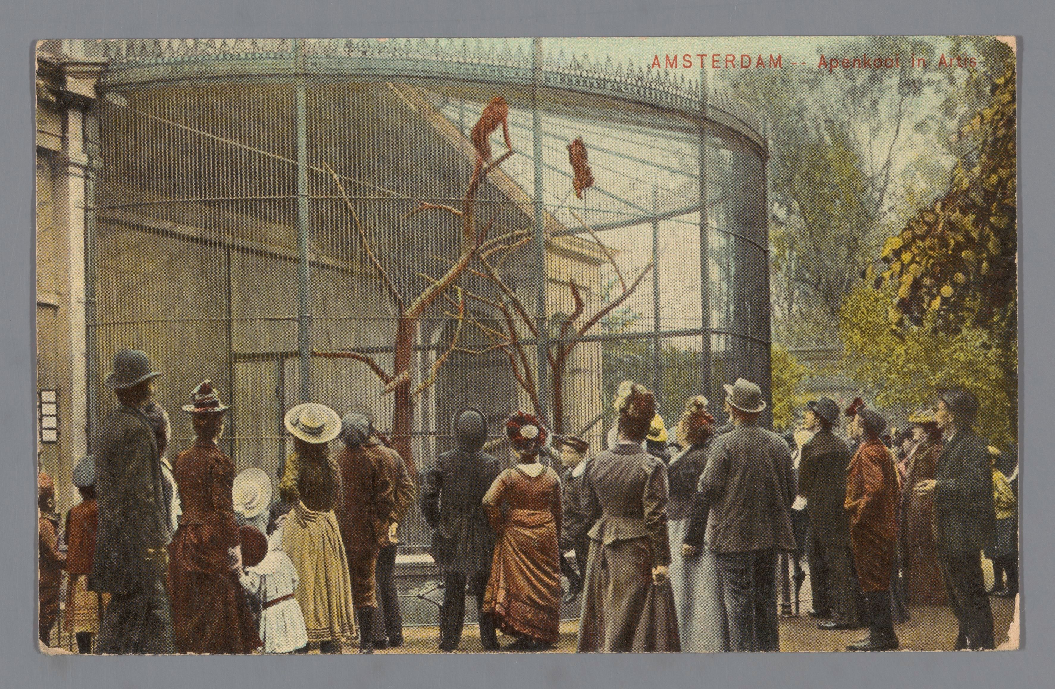 Tarjeta postal vintage que muestra a personas con atuendos de principios del siglo XX observando aves en un gran recinto circular con estructura metálica en el zoo Artis de Ámsterdam.
