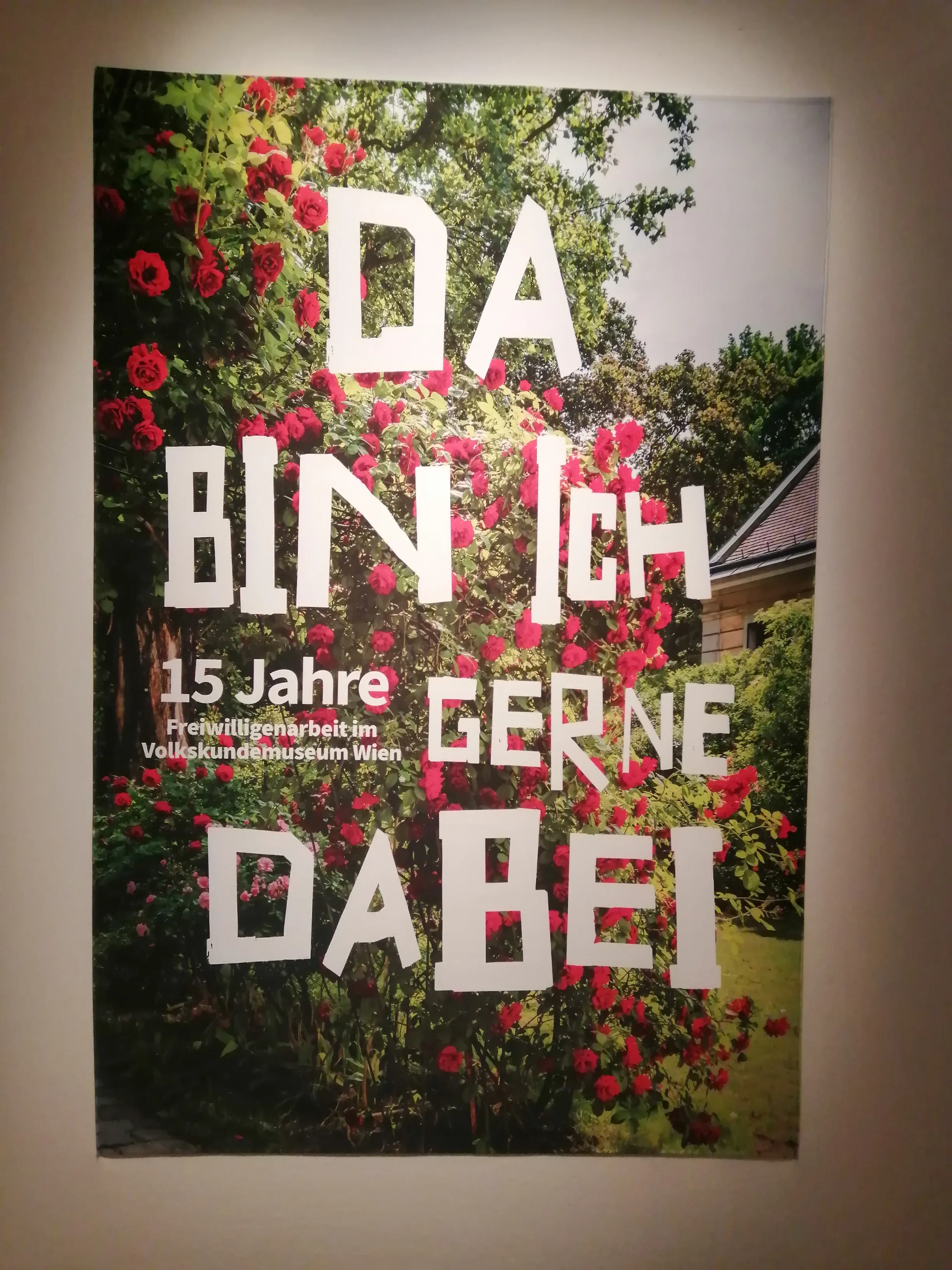 Un póster con texto grande en blanco 'DA BIN ICH GERNE DABEI' y '15 Jahre Freiwilligenarbeit im Volkskundemuseum Wien' sobre un fondo de rosas rojas y árboles verdes.