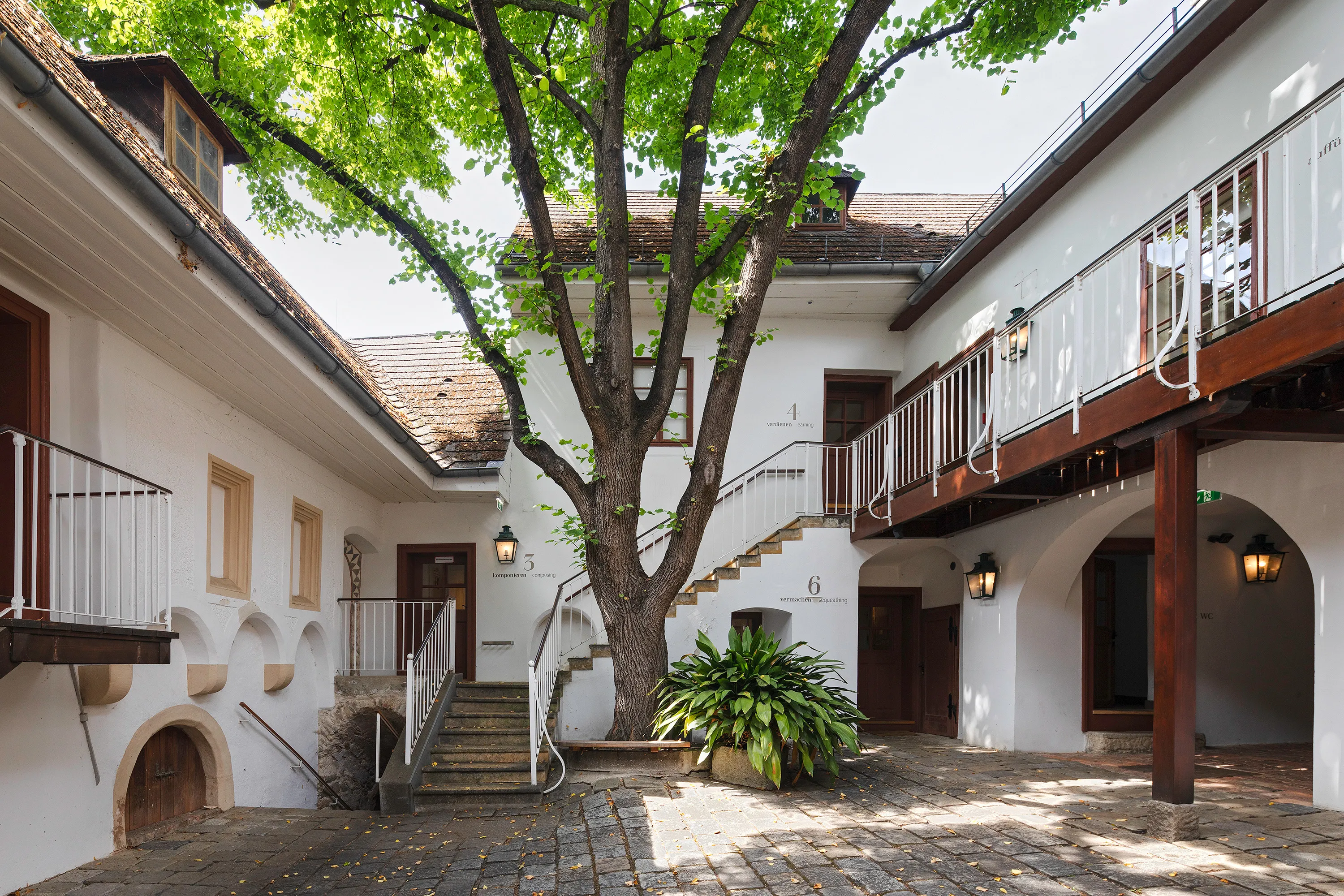Courtyard with a large tree, stone steps, and white buildings with wooden balconies