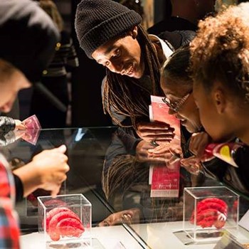 Los visitantes examinan especímenes anatómicos conservados expuestos en vitrinas de vidrio en la exposición Body Worlds