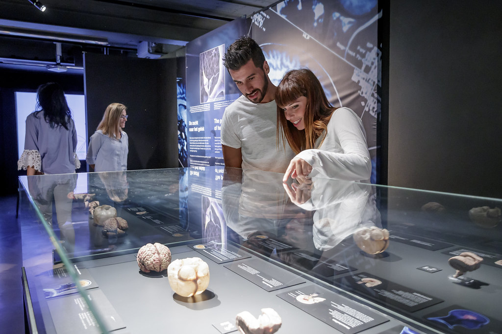 Dos personas examinan especímenes anatómicos humanos conservados en una vitrina de cristal dentro de un espacio de exposición tenuemente iluminado con paneles informativos