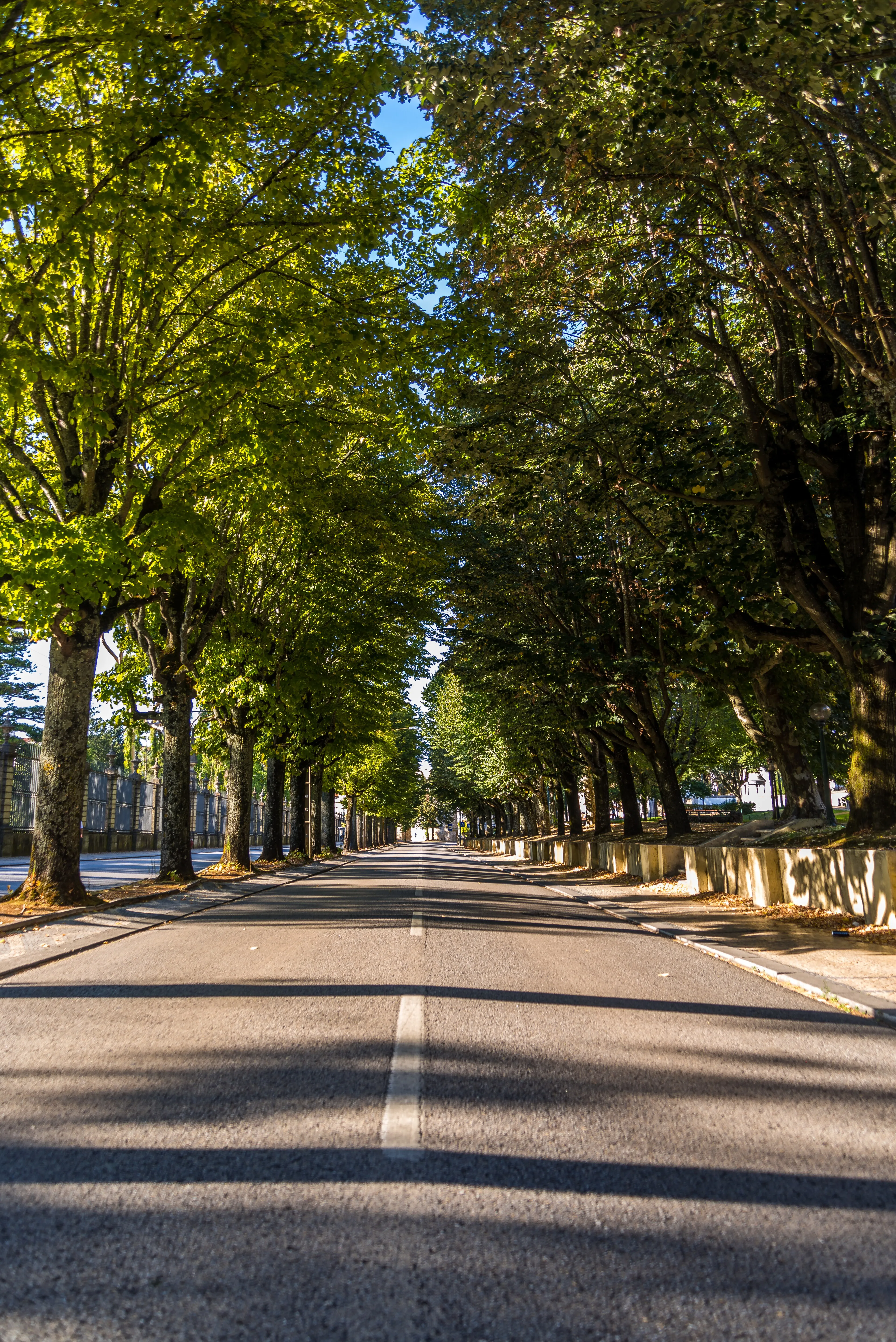 Widok z zewnątrz Ogrodu Botanicznego Uniwersytetu w Coimbrze w Coimbrze.