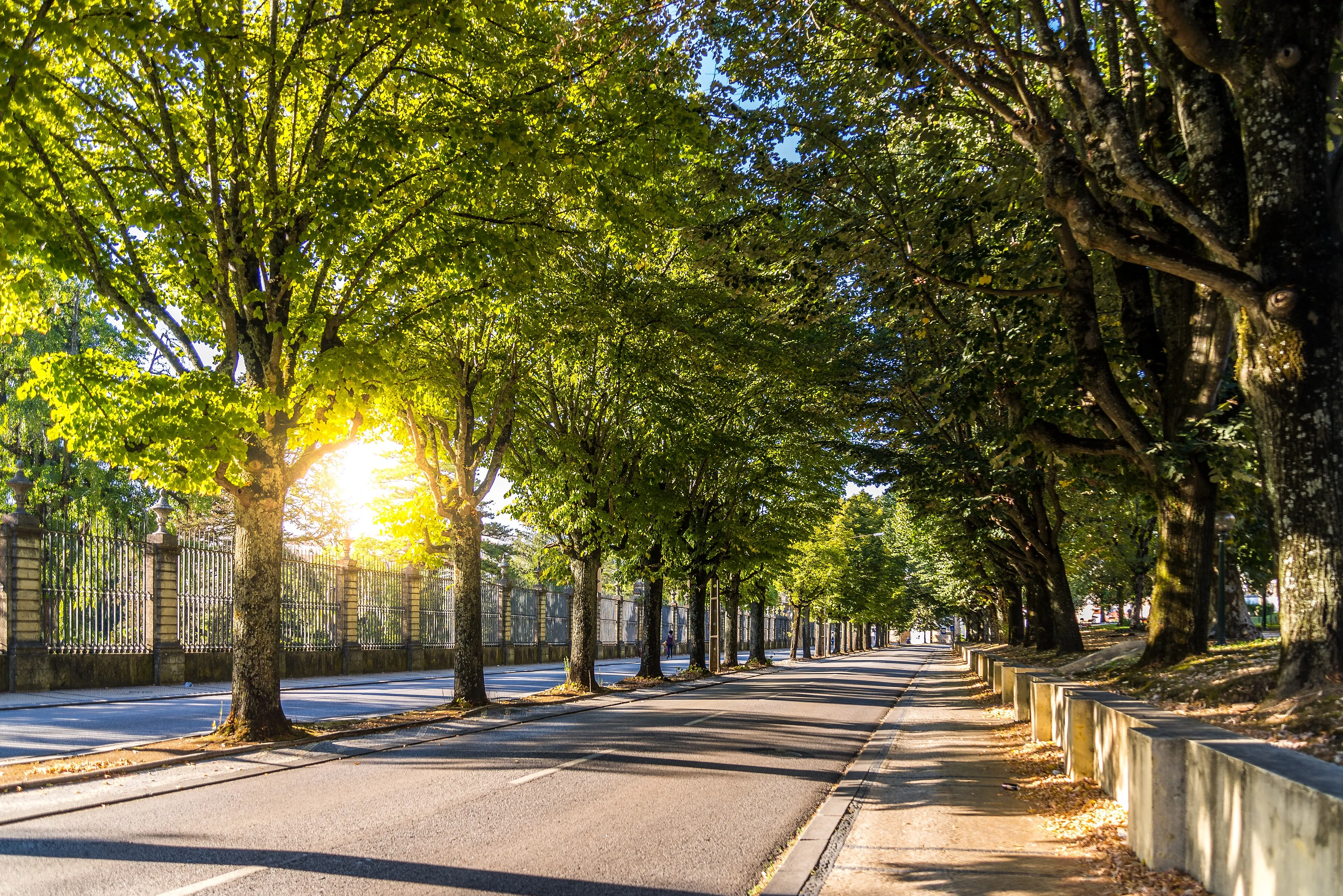 Widok z zewnątrz na Ogród Botaniczny Uniwersytetu w Coimbrze w Coimbrze.