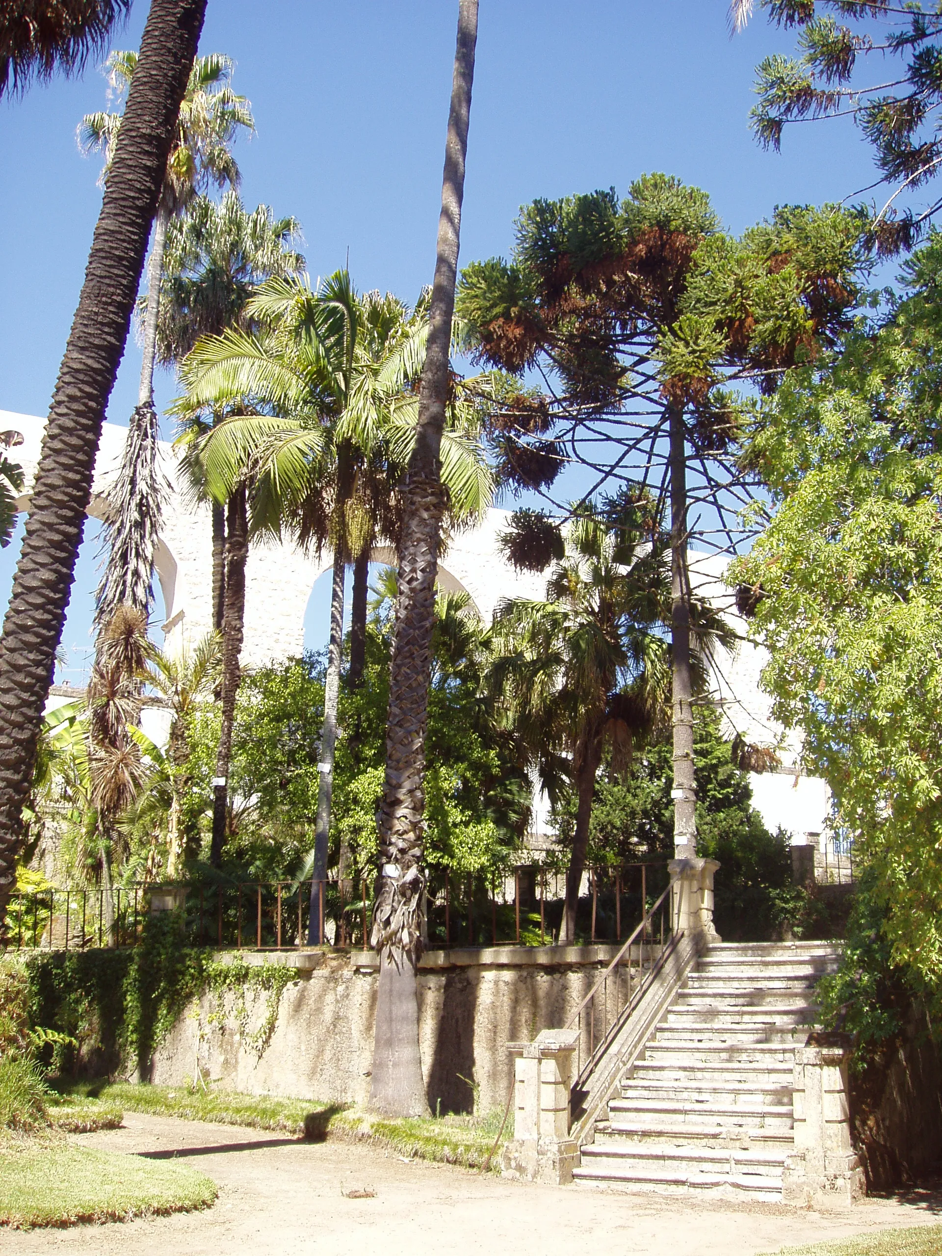 Reprezentatywny widok Ogrodu Botanicznego Uniwersytetu w Coimbrze w Coimbrze.