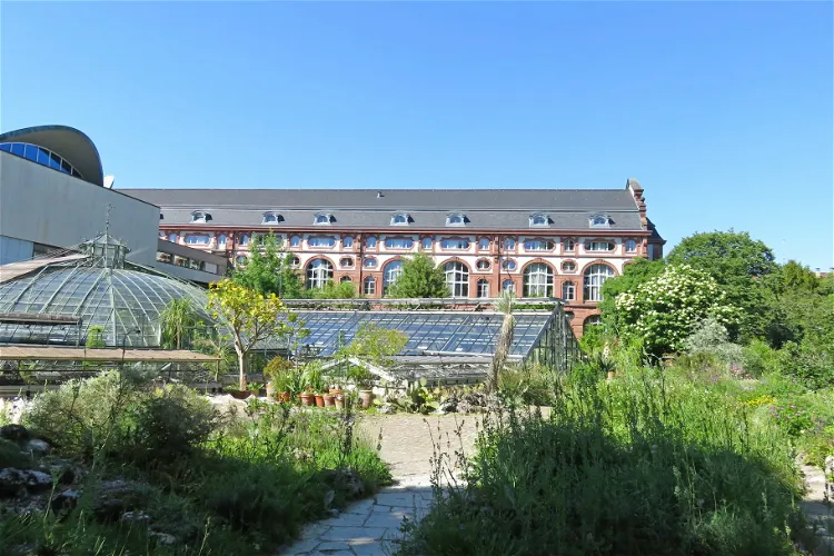 Museum opening-hours graphic for Botanical Garden of the University of Basel