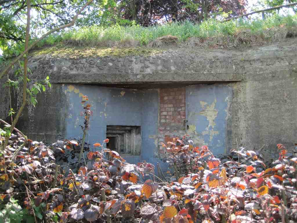 Búnker de hormigón de la Segunda Guerra Mundial con techo cubierto de hierba y vegetación otoñal desbordante rodeando la entrada