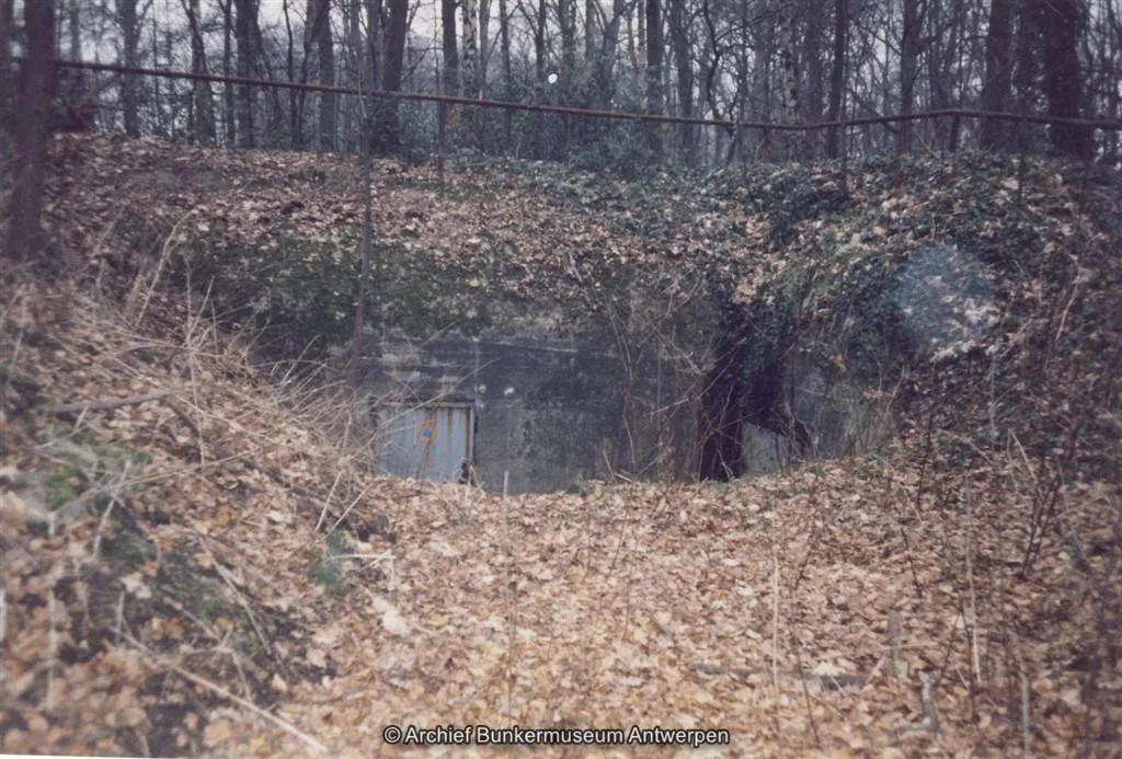 Entrada de búnker cubierta de maleza y parcialmente oculta entre hojas caídas y árboles desnudos en un bosque