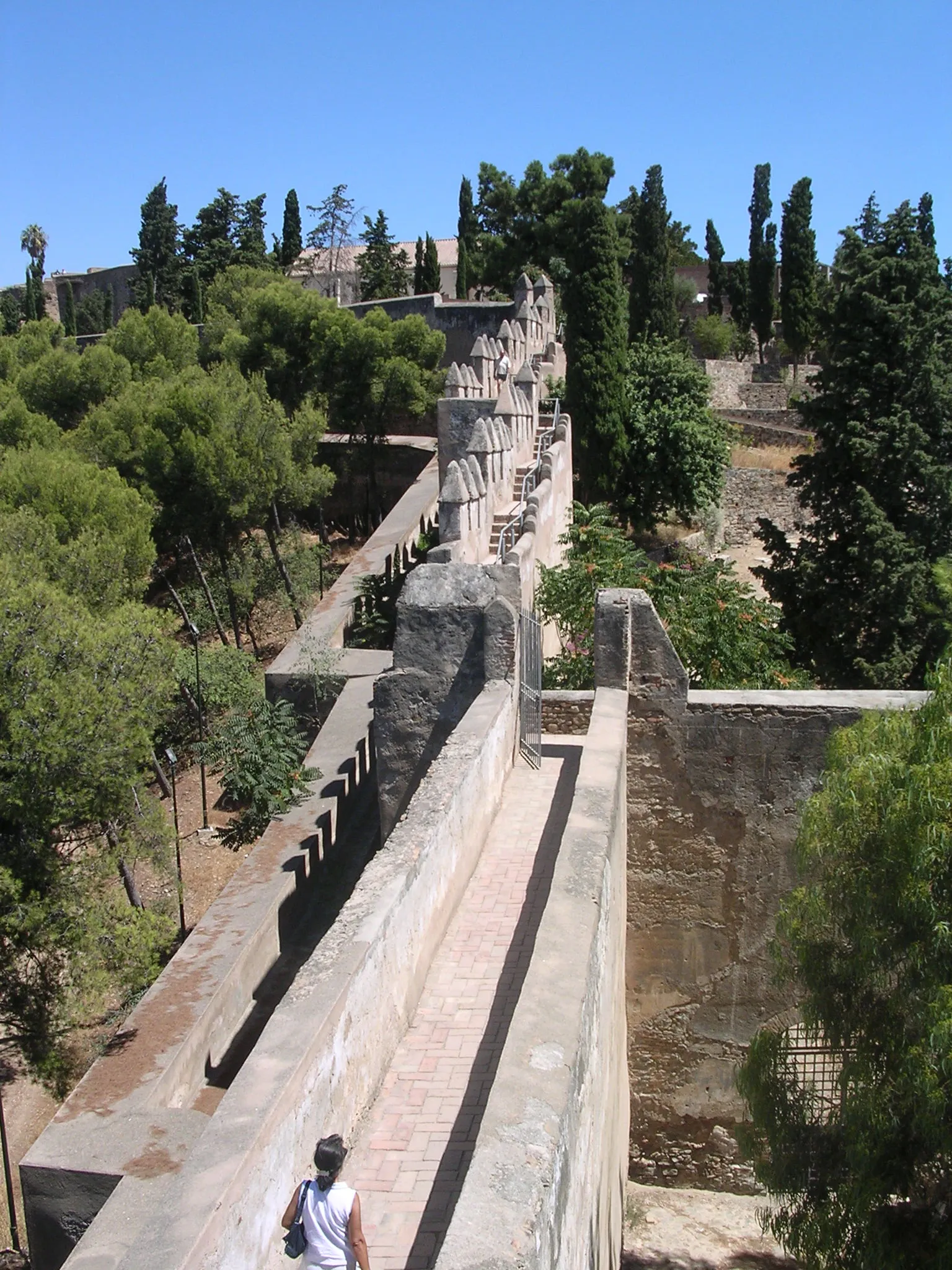 Vista en ángulo elevado de las murallas de piedra y el camino fortificado del Castillo de Gibralfaro, con un visitante caminando por la parte superior, rodeado de cipreses y pinos bajo un cielo azul despejado.