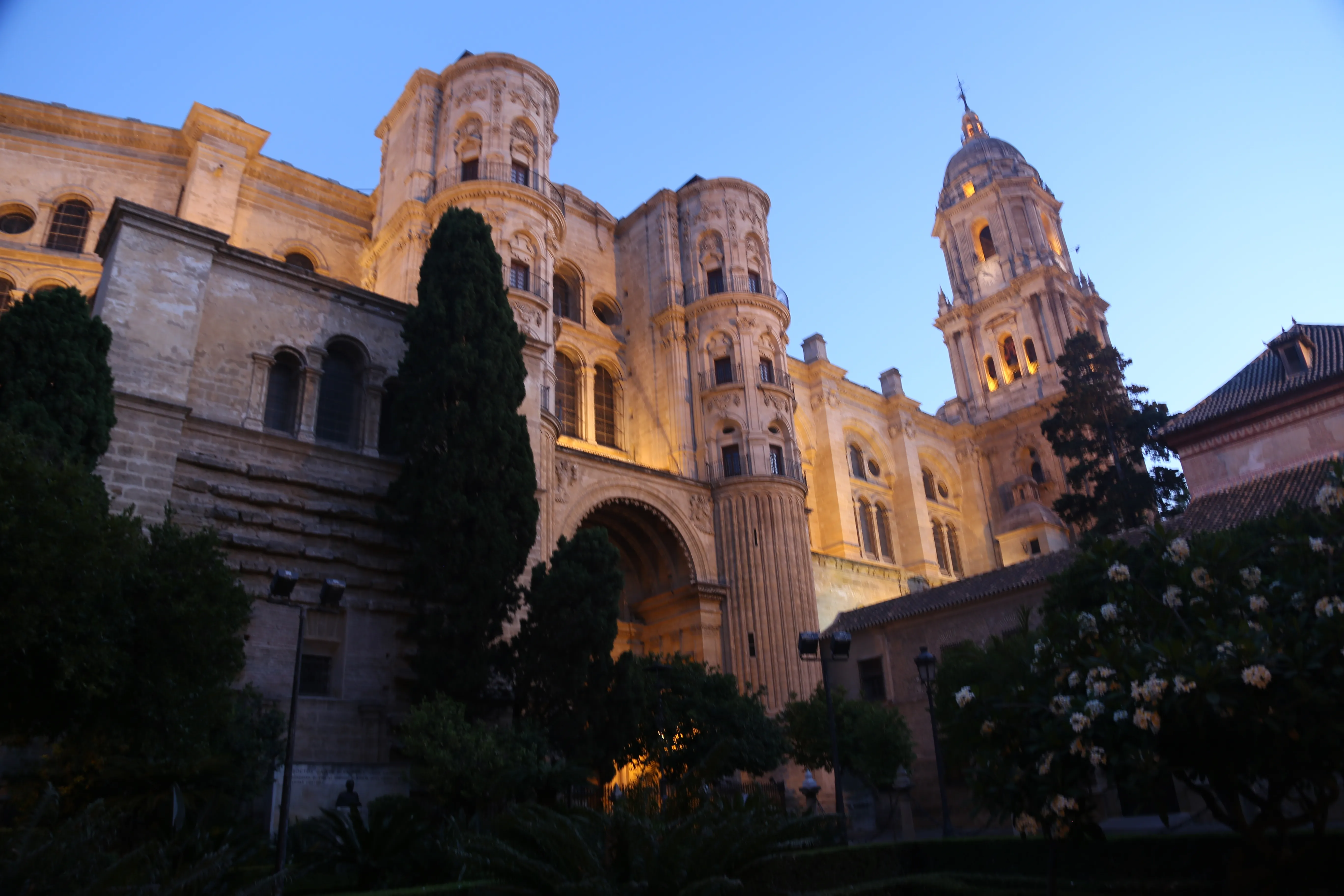 La fachada iluminada de la Catedral de Málaga al atardecer, mostrando su arquitectura renacentista con una torre campanario completa y la segunda torre inacabada, enmarcada por árboles oscuros bajo un cielo azul al atardecer.