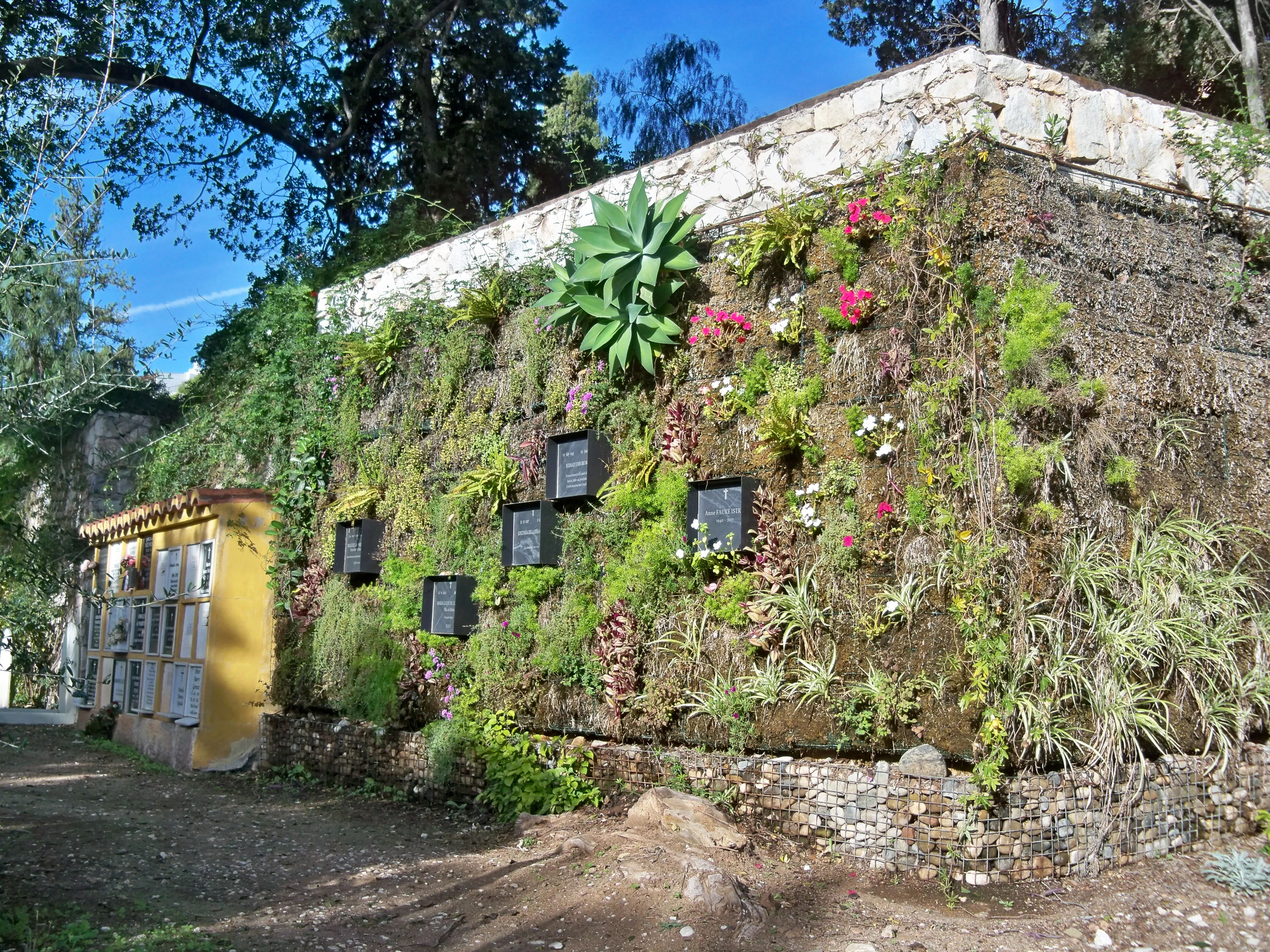 Un muro de piedra cubierto de plantas verdes, flores y pequeñas placas conmemorativas negras en el Cementerio Inglés de Málaga, con una estructura de columbario amarilla visible a la izquierda bajo un cielo azul.