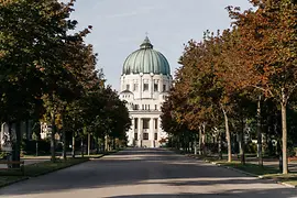 A wide pathway flanked by trees leading to a large building with a green dome