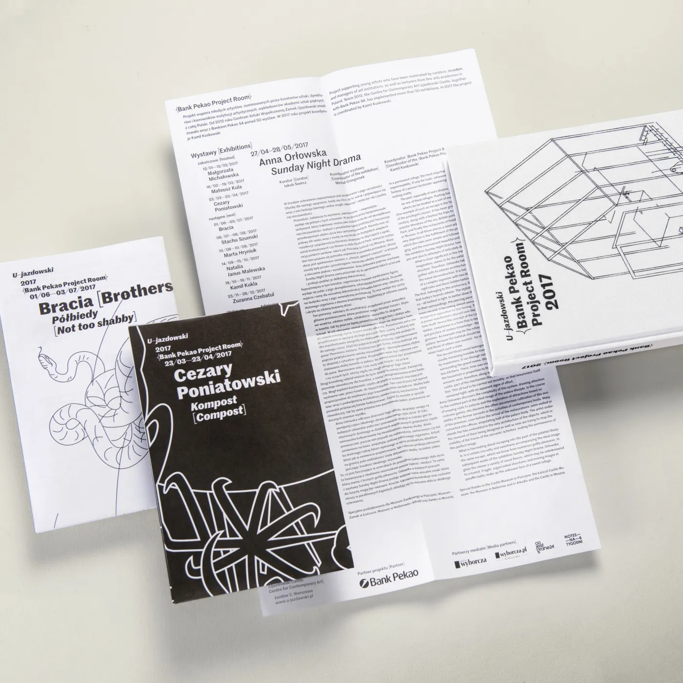 geprinte brochures en catalogi op een wit oppervlak