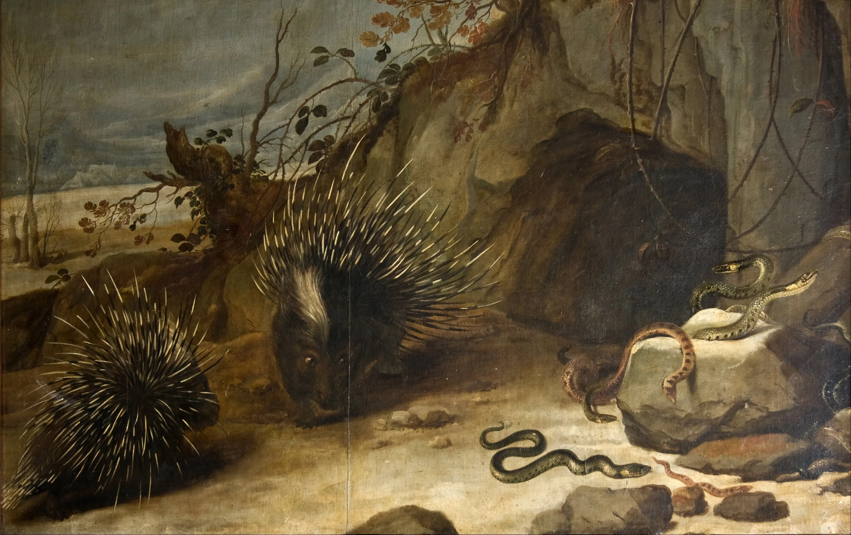 Una pintura de puercoespines, una serpiente y un lagarto en un entorno rocoso al aire libre