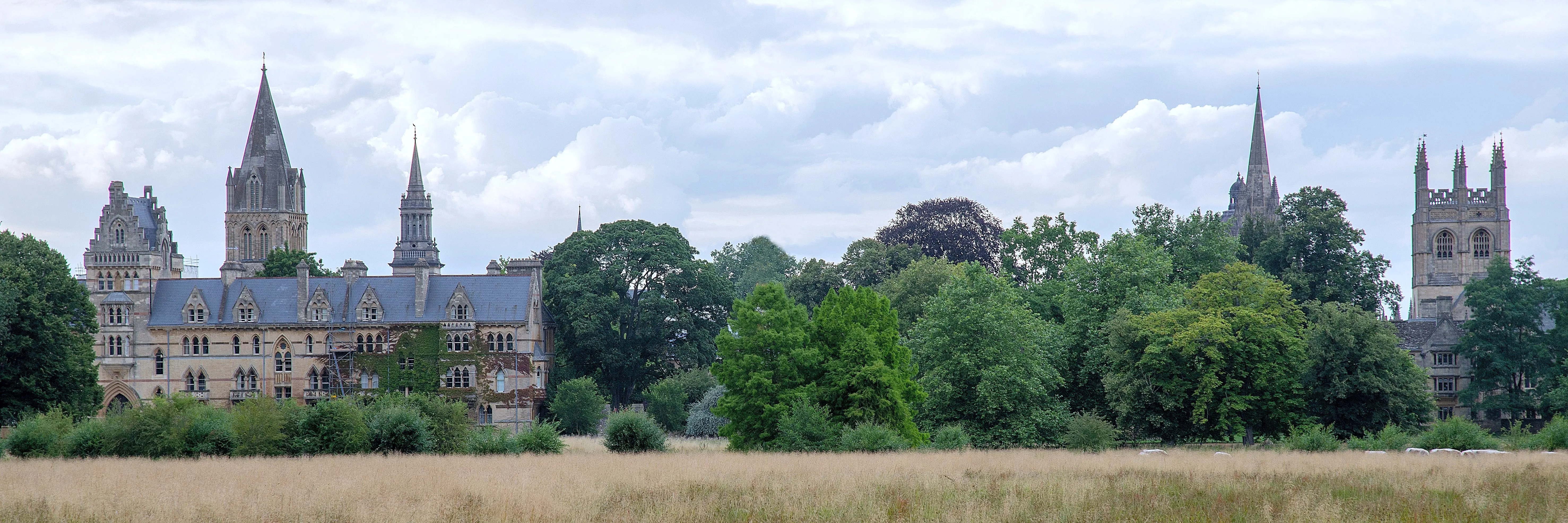 Wide panoramic view of Oxford's historic skyline with church spires and university towers rising above lush green trees, seen across a golden meadow under a cloudy sky