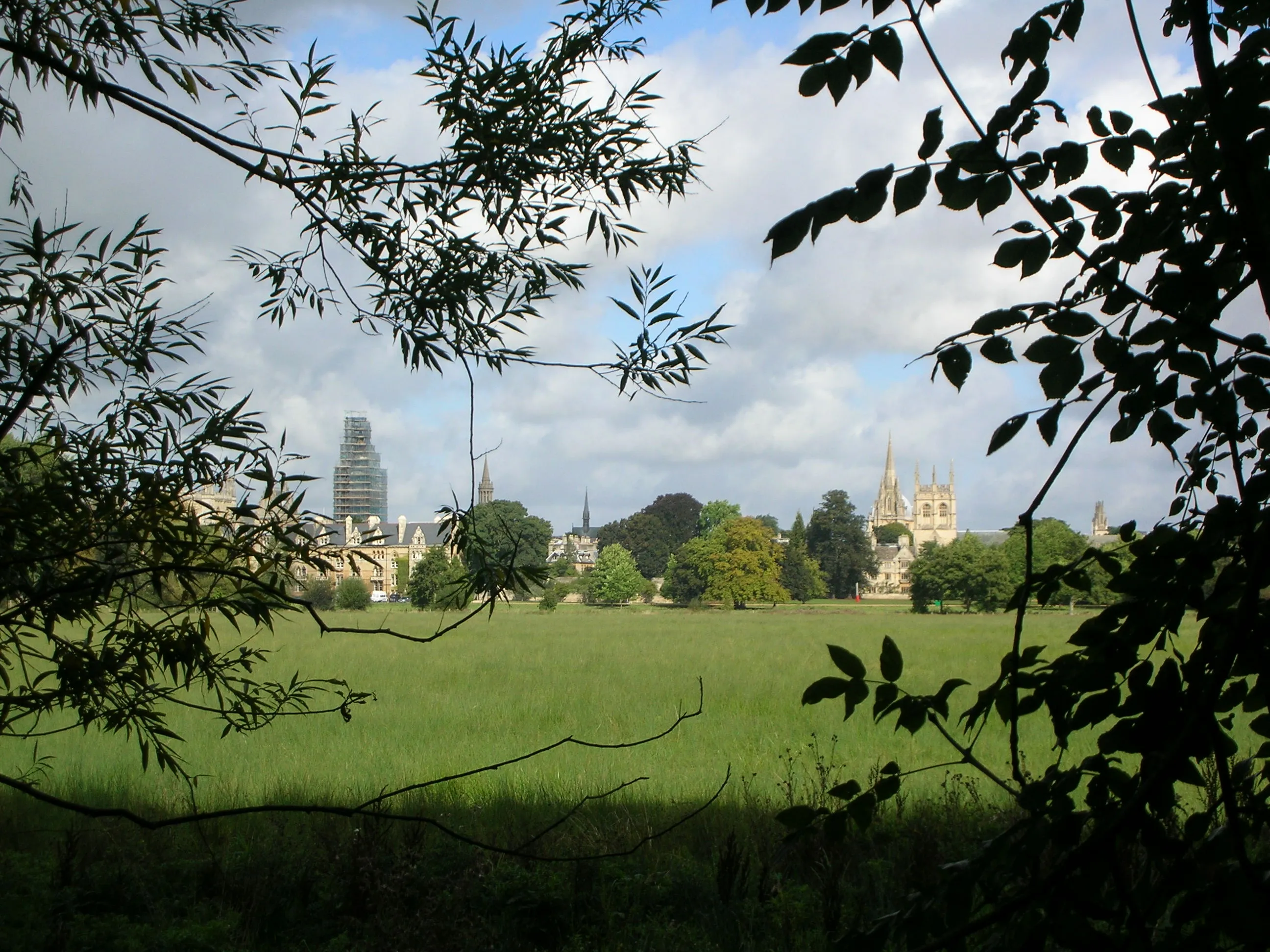 Green meadow framed by silhouetted tree branches with Oxford's Christ Church Cathedral spire and university buildings visible in the distance under a cloudy sky