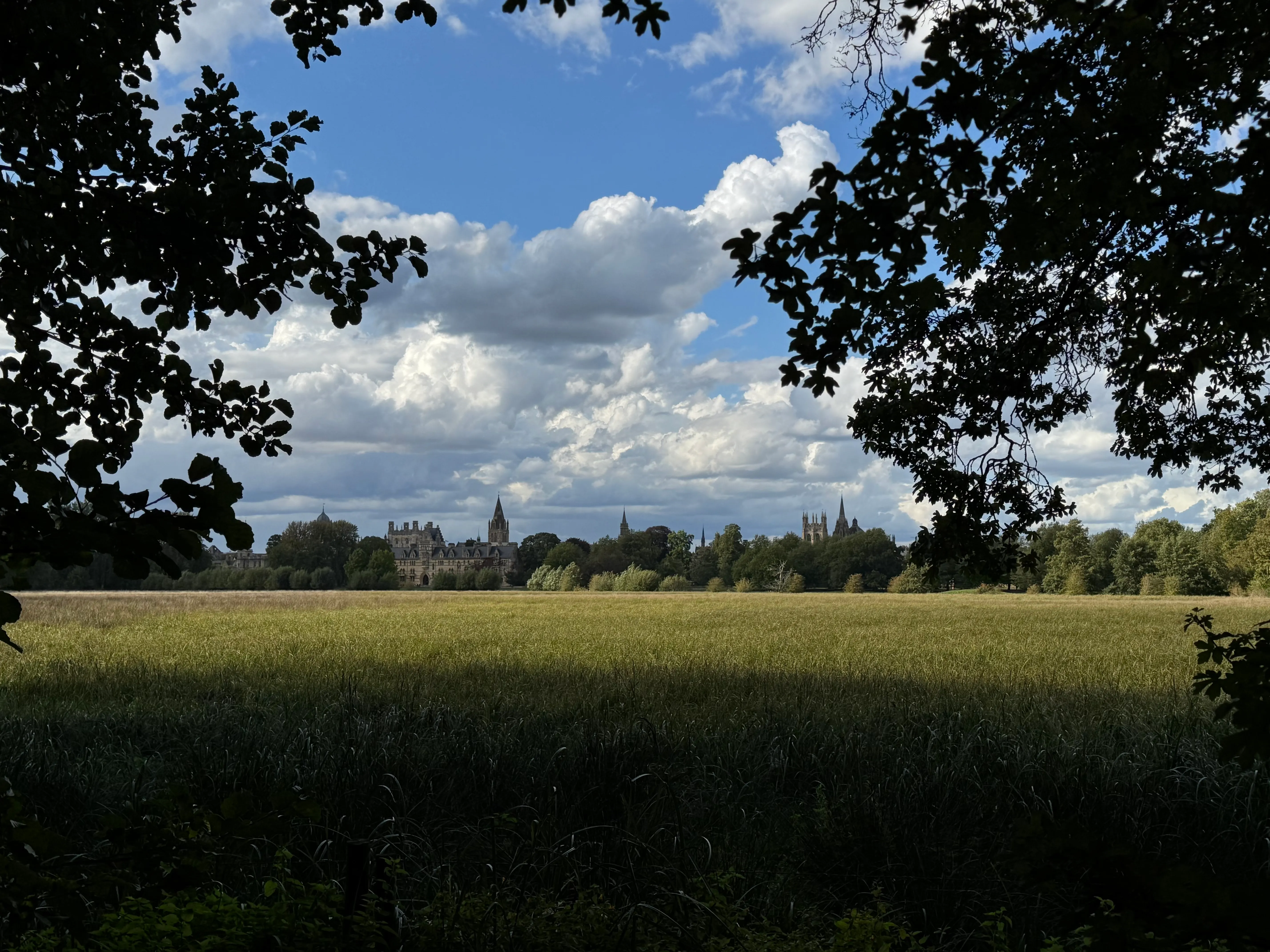 Grassy meadow stretching toward the Oxford skyline with Christ Church College spires visible in the distance, framed by dark tree branches under a blue sky with white clouds