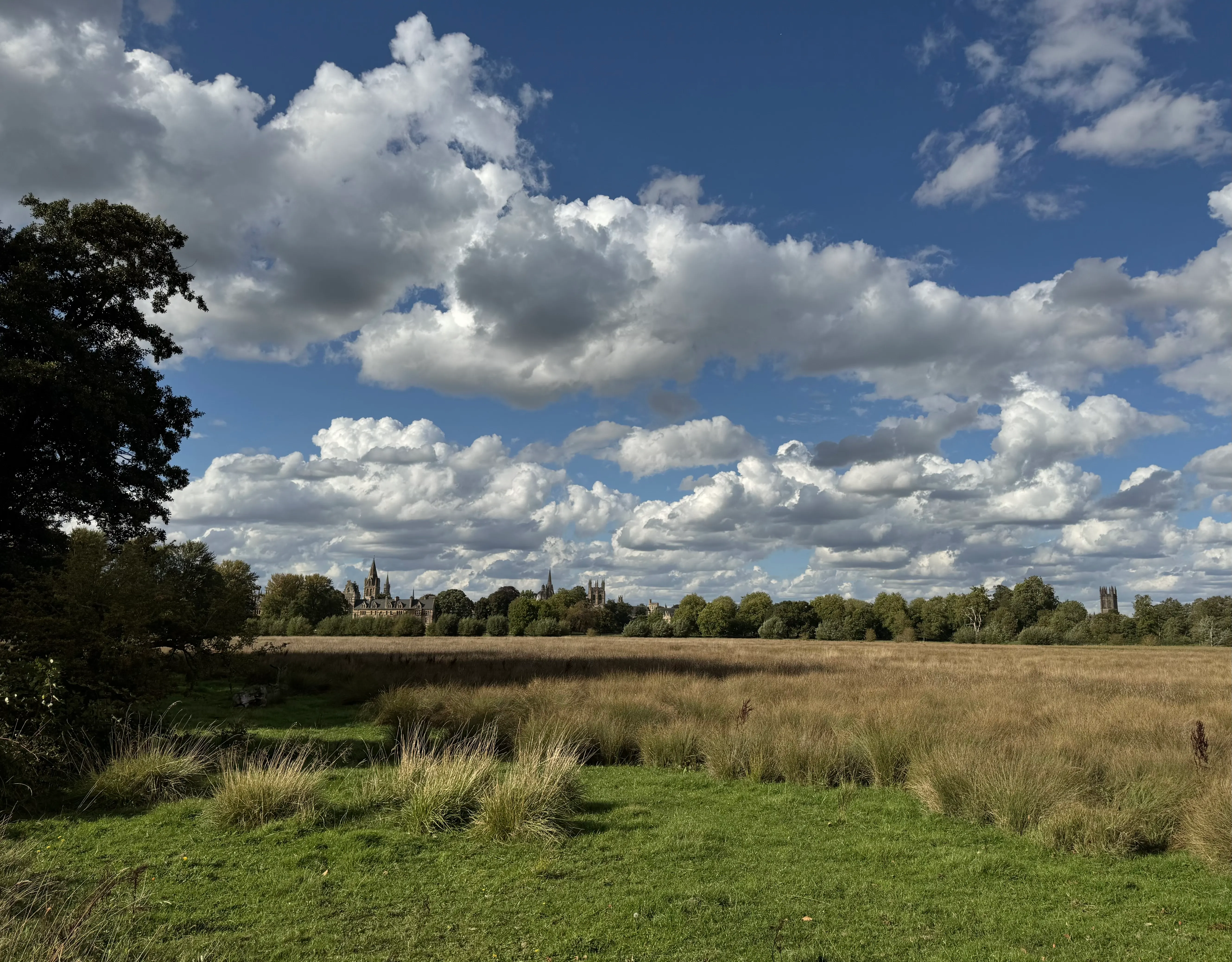 Wide meadow with tall golden grass and green lawn in the foreground, a tree line in the midground, and Christ Church College spires visible in the distance under a blue sky with white clouds.