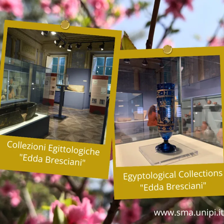 Representative view of Egyptological Collections of the University of Pisa in Pisa.