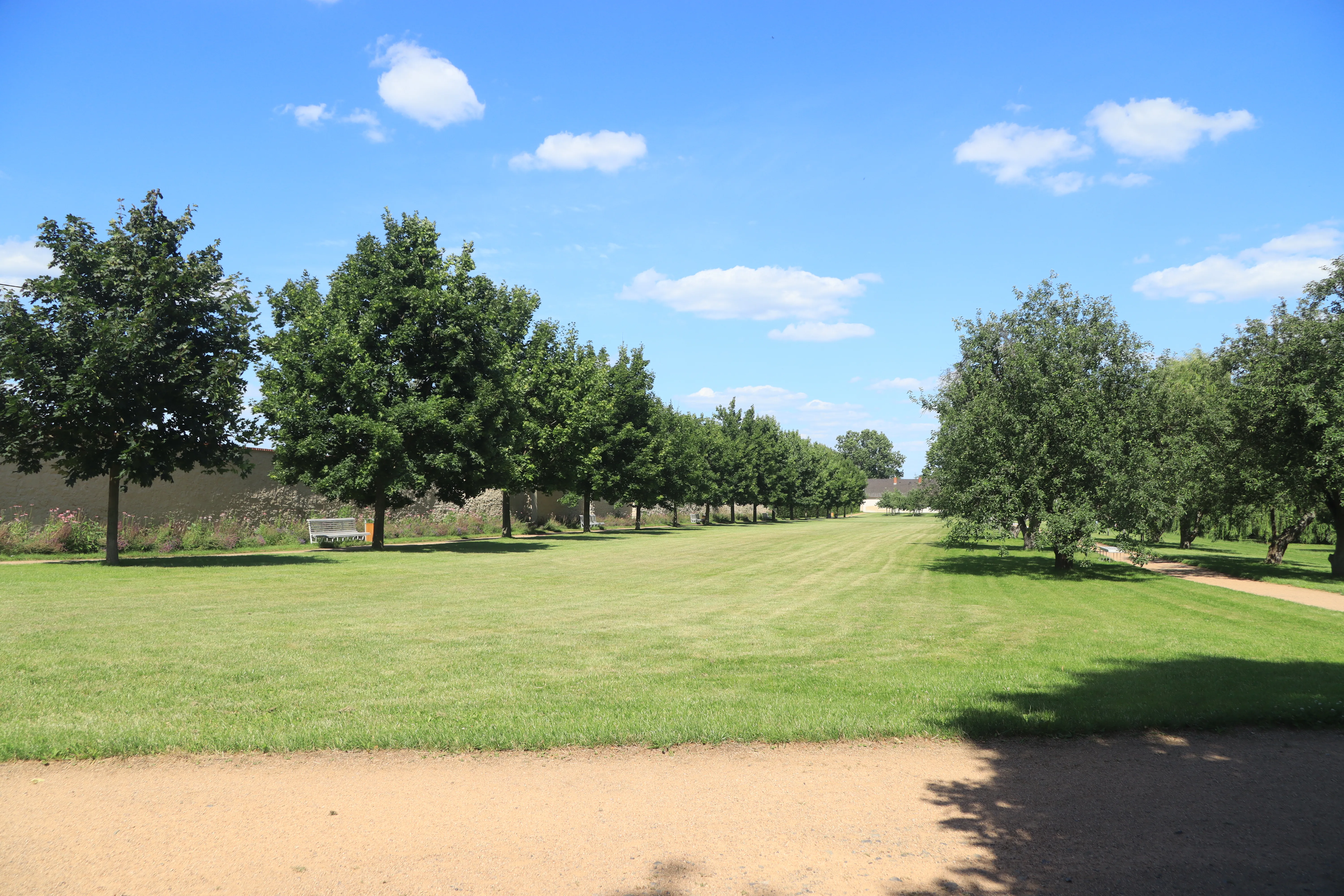 Grasveld met bomen en een pad bij Kasteel Ctěnice onder een blauwe hemel