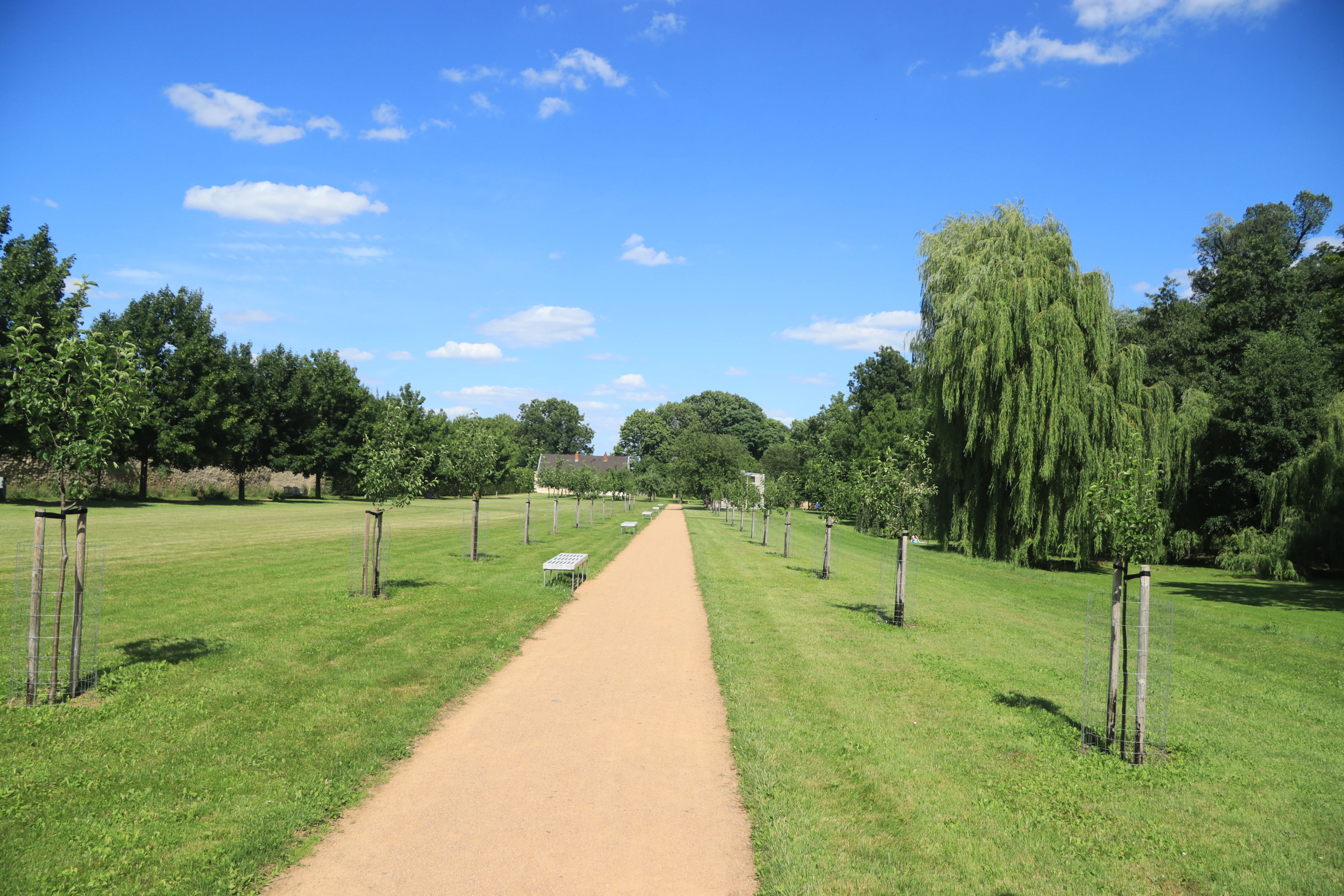 Gravelpad door een groen park met bomen en een blauwe lucht