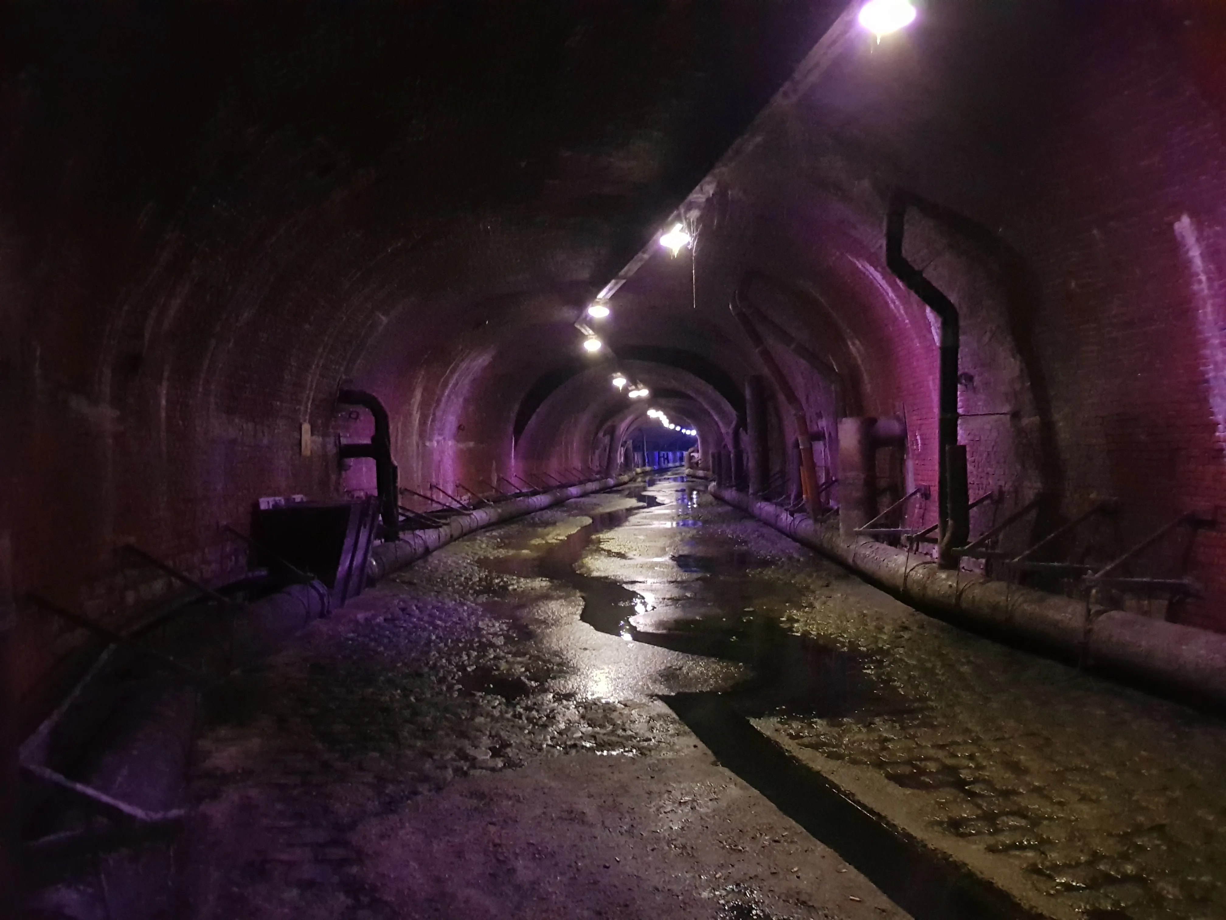 Largo túnel abovedado de ladrillo con paredes iluminadas de púrpura, luces en el techo, tuberías a los lados y un suelo húmedo y reflectante que muestra el canal subterráneo De Ruien en Amberes.