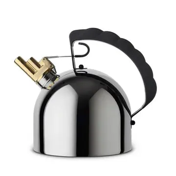 Een glimmende metalen waterkoker met een zwart handvat en een messing tuit
