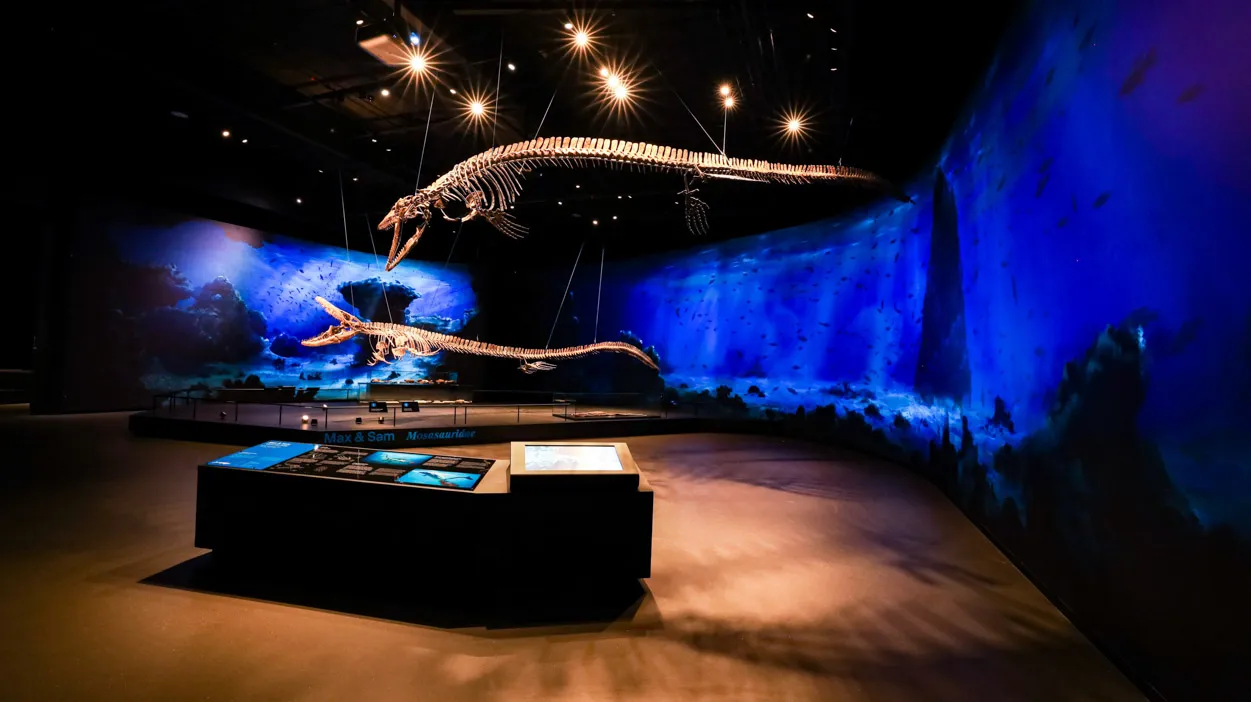 Dinosaur skeleton exhibit in a museum with blue lighting and a projection on the wall