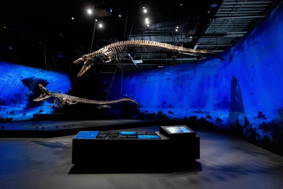 Szkielety dinozaurów zawieszone w ciemnej galerii muzealnej z niebieskim oświetleniem i interaktywnymi wystawami