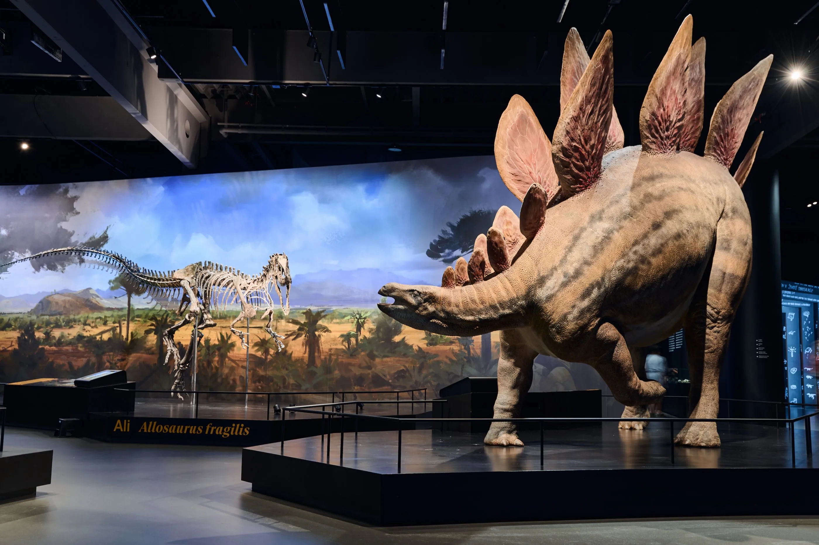 Life-size model of a Stegosaurus dinosaur with a large mural of a prehistoric landscape and a dinosaur skeleton in the background