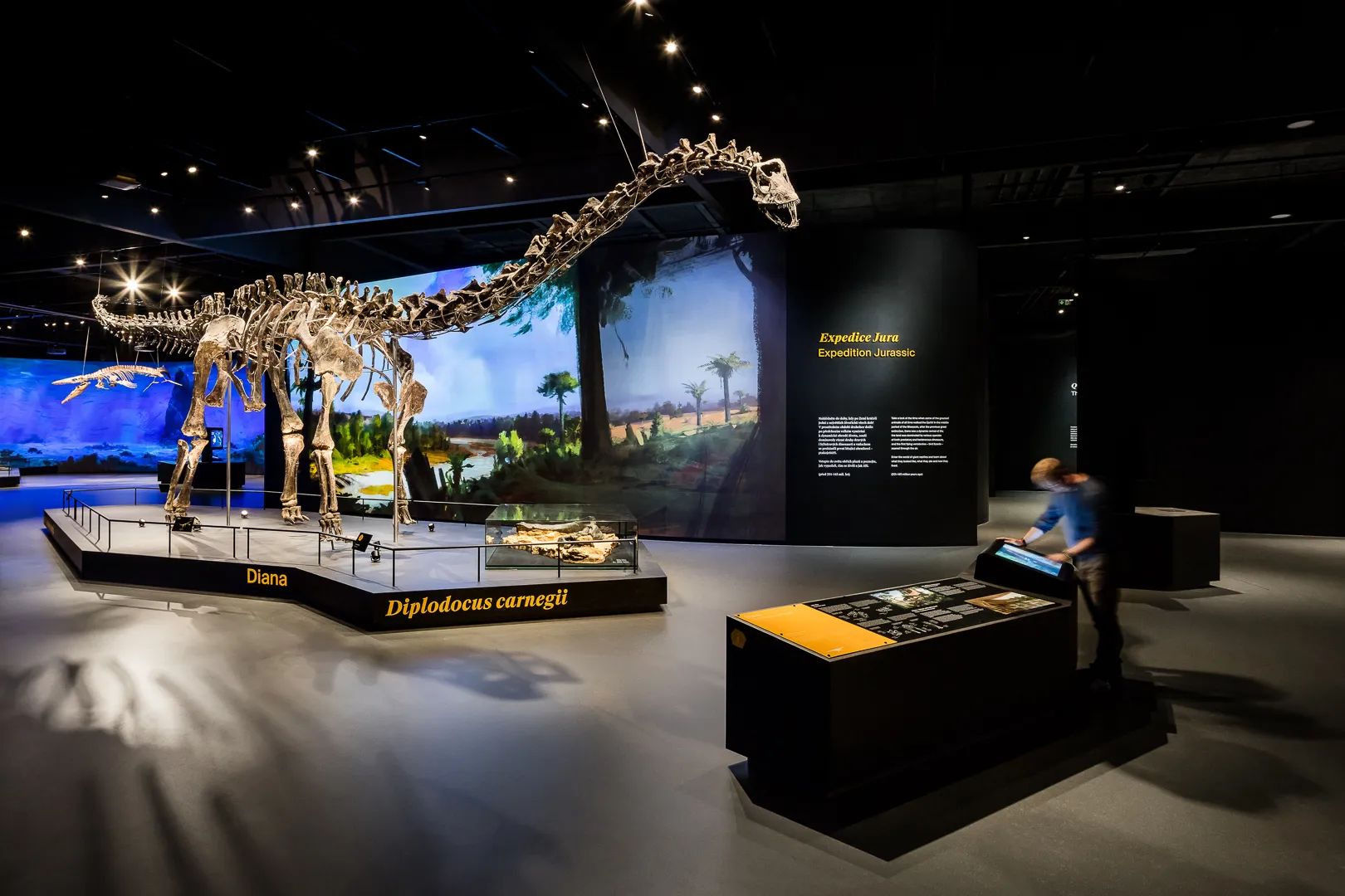 Duża wystawa szkieletu dinozaura z modelem dinozaura o długiej szyi w galerii muzealnej