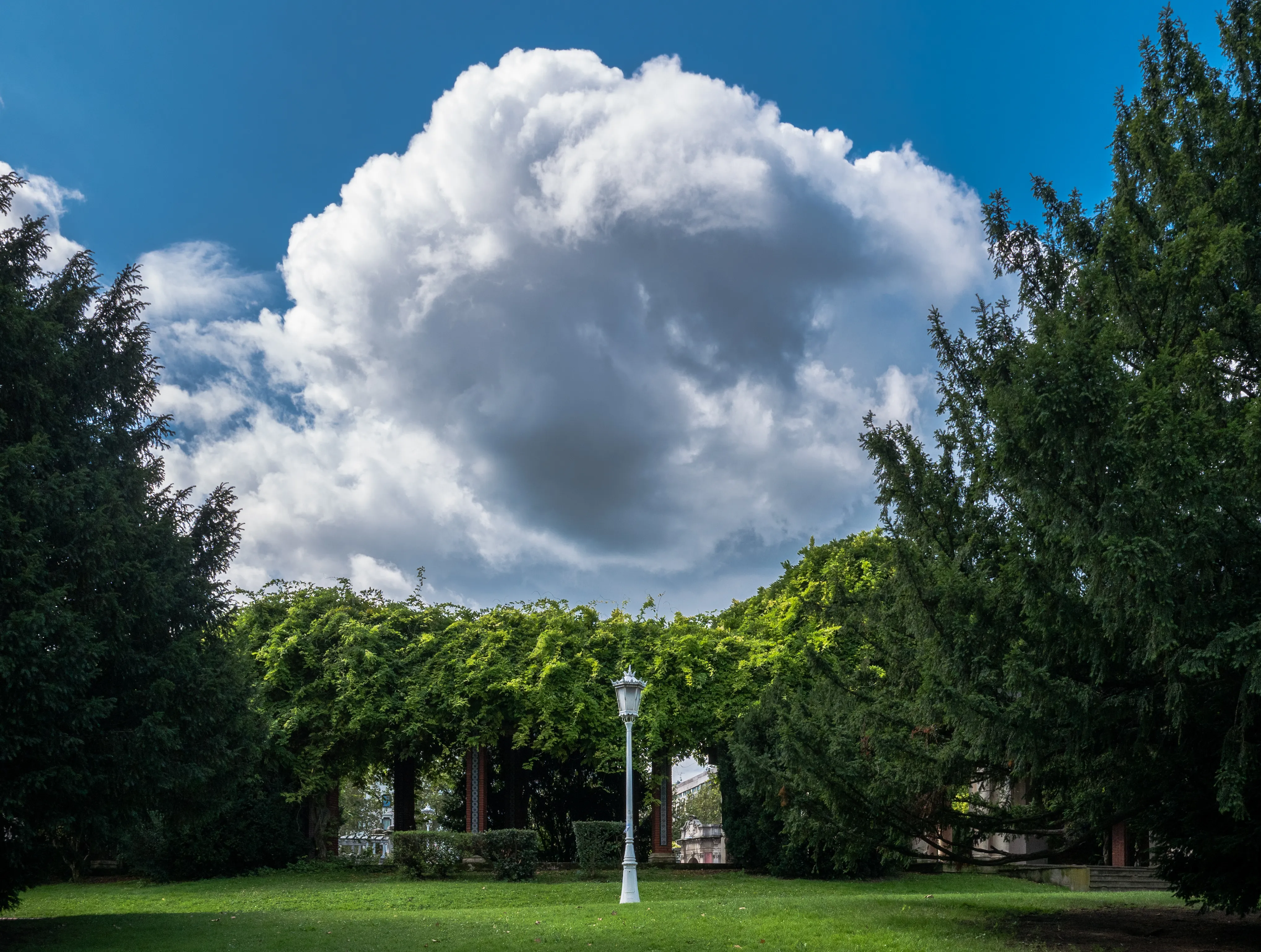 Césped verde con una farola blanca frente a una pérgola cubierta de enredaderas, flanqueada por árboles altos bajo una gran nube blanca de tipo cúmulo en un cielo azul.