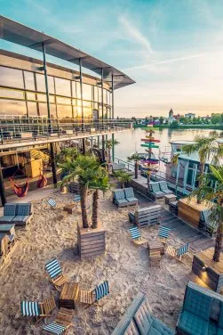 Outdoor riverside terrace with striped lounge chairs, palm trees, and a modern glass building overlooking the Rhine at sunset