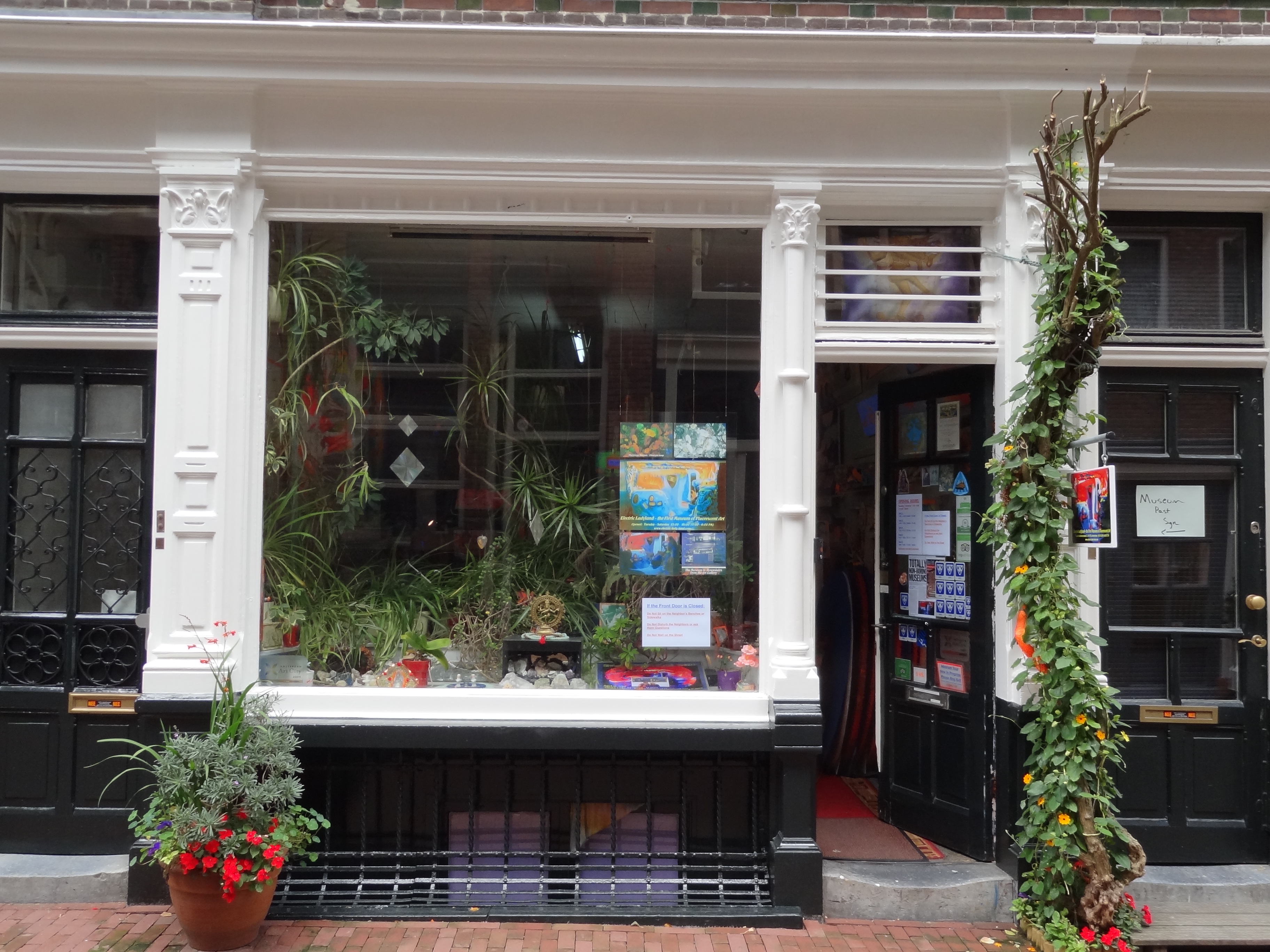 Fachada del Museo Electric Ladyland con un gran escaparate que muestra coloridas obras de arte y plantas, puertas negras, columnas blancas y flores en macetas en el exterior