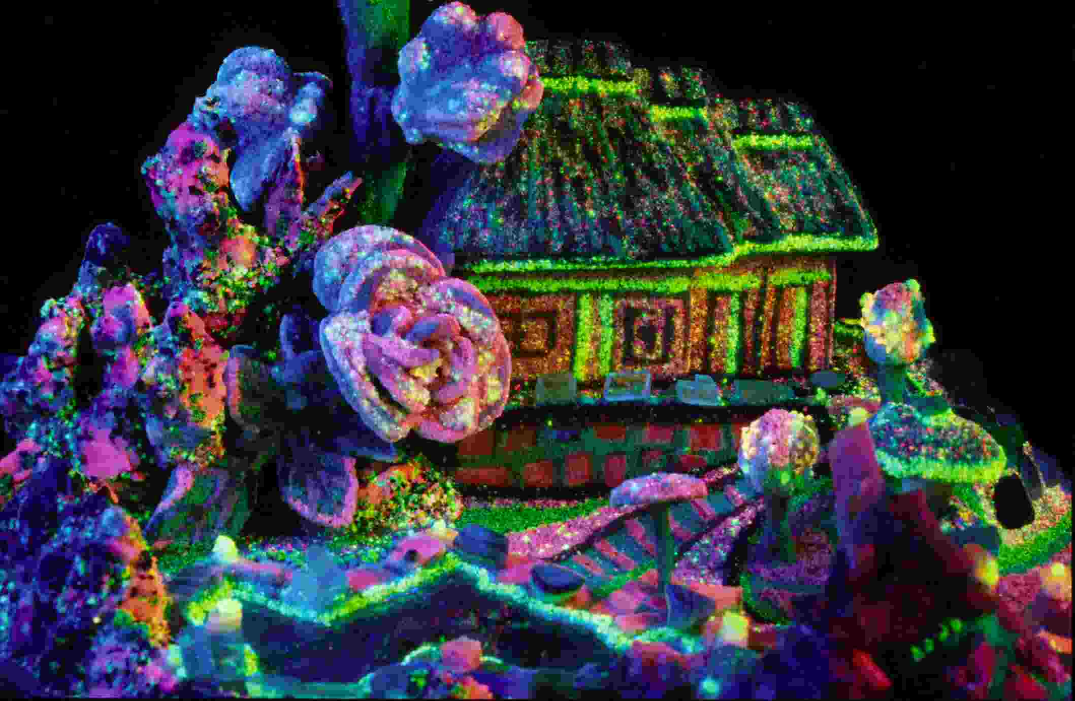 Vibrant fluorescent art installation featuring a glowing house structure with neon-colored flowers and patterns against black background.