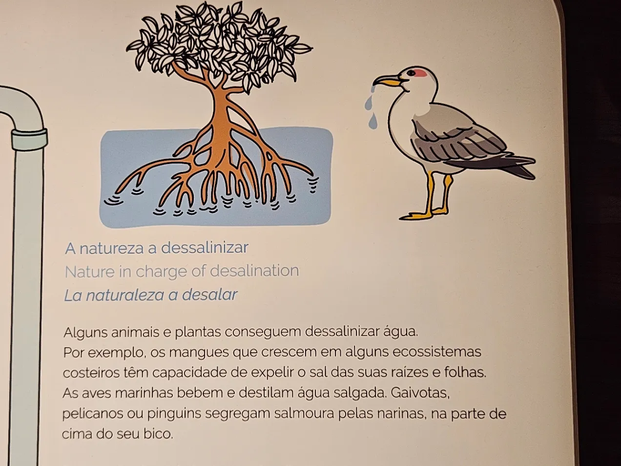 Vista representativa del Exploratório – Coimbra Science Centre en Coímbra.