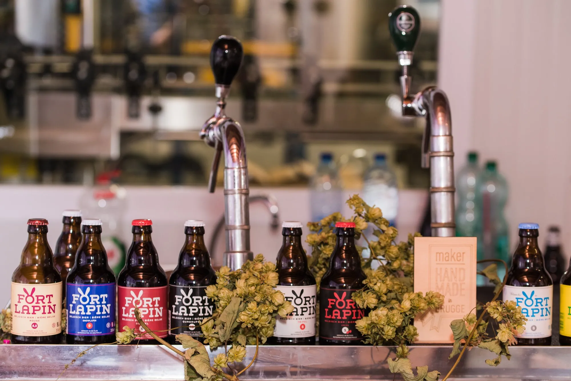 Hilera de botellas de cerveza artesanal Fort Lapin dispuestas sobre una barra con grifos de cerveza y ramas de lúpulo en una cervecería