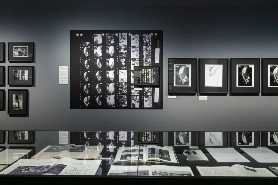 zwart-witfoto's in lijsten aan een donkere muur in een galerie
